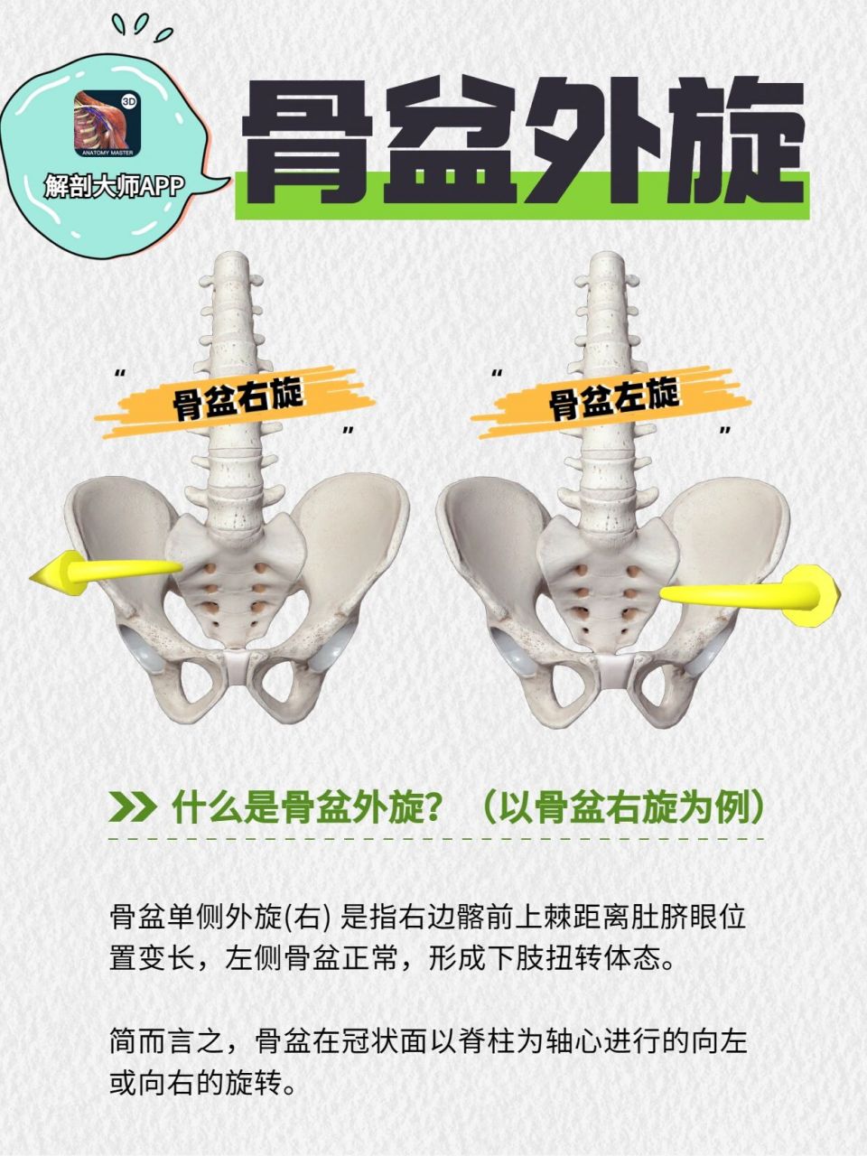 骨盆外旋# #骨盆# #骨盆侧倾# #运动康复# #康复训练# #解剖大师