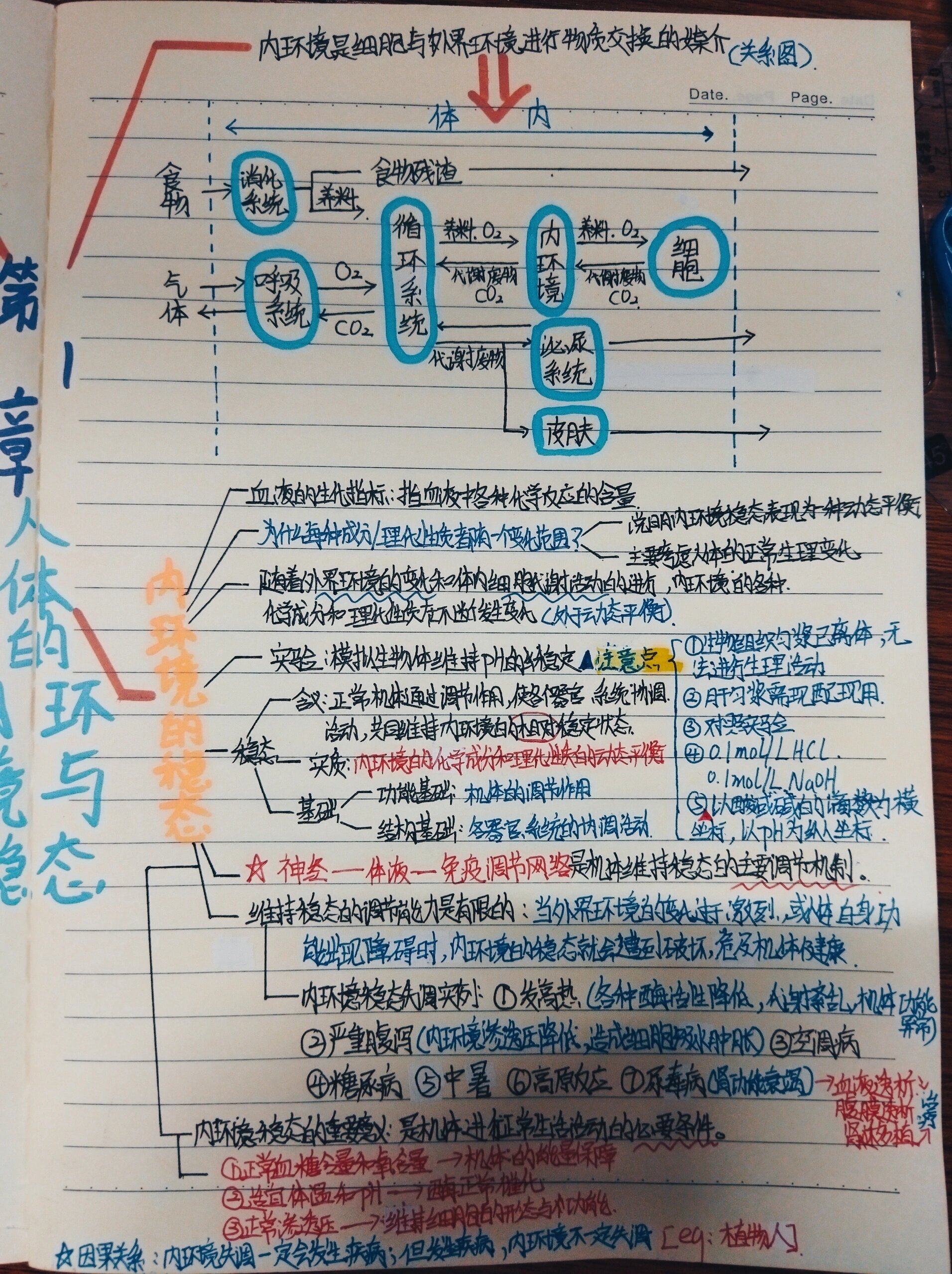 人体的内环境与稳态图片