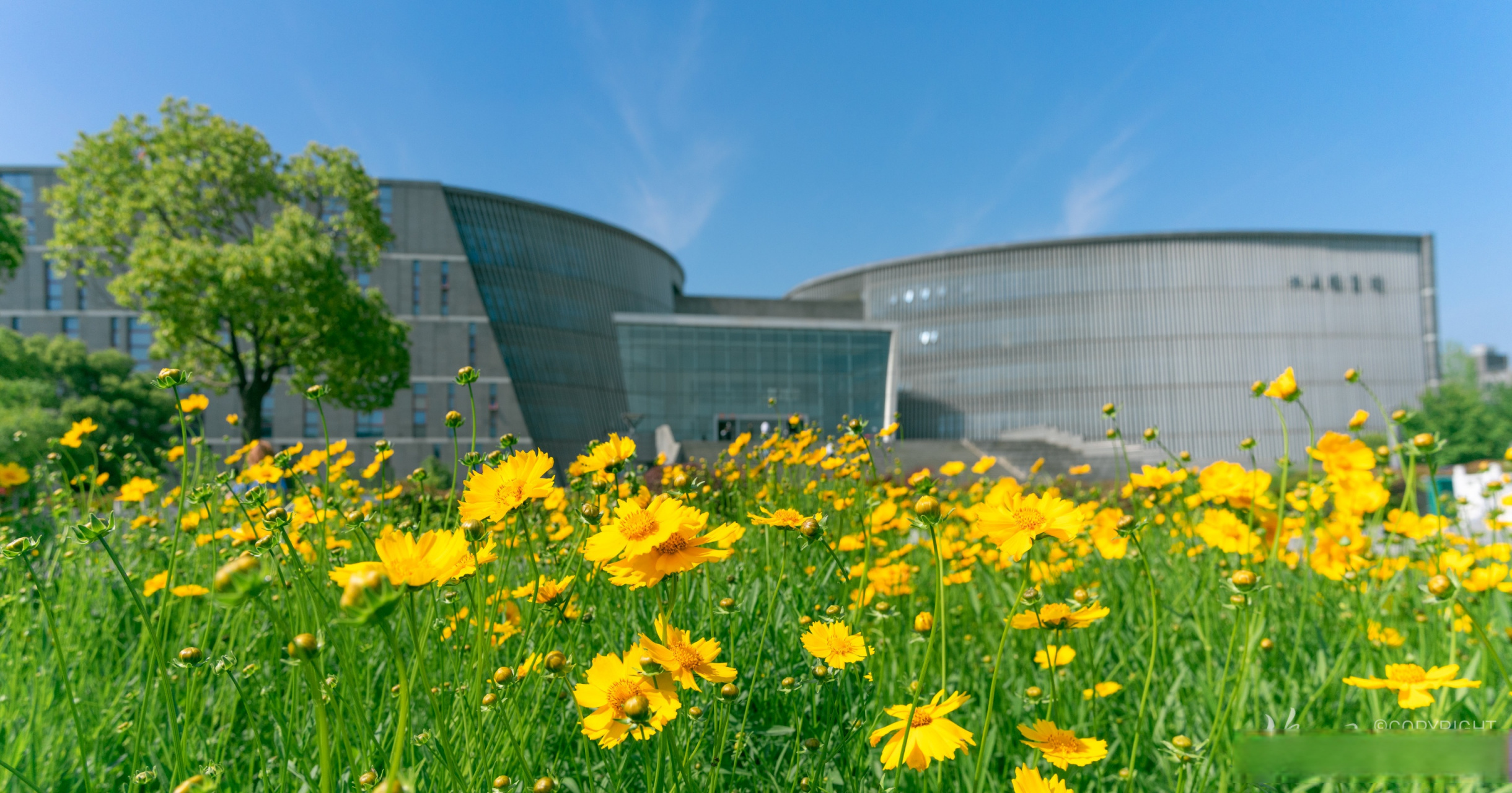 南京大学121周年校庆 大江之东,金城之中,巍巍学府钟灵毓秀; 天开教