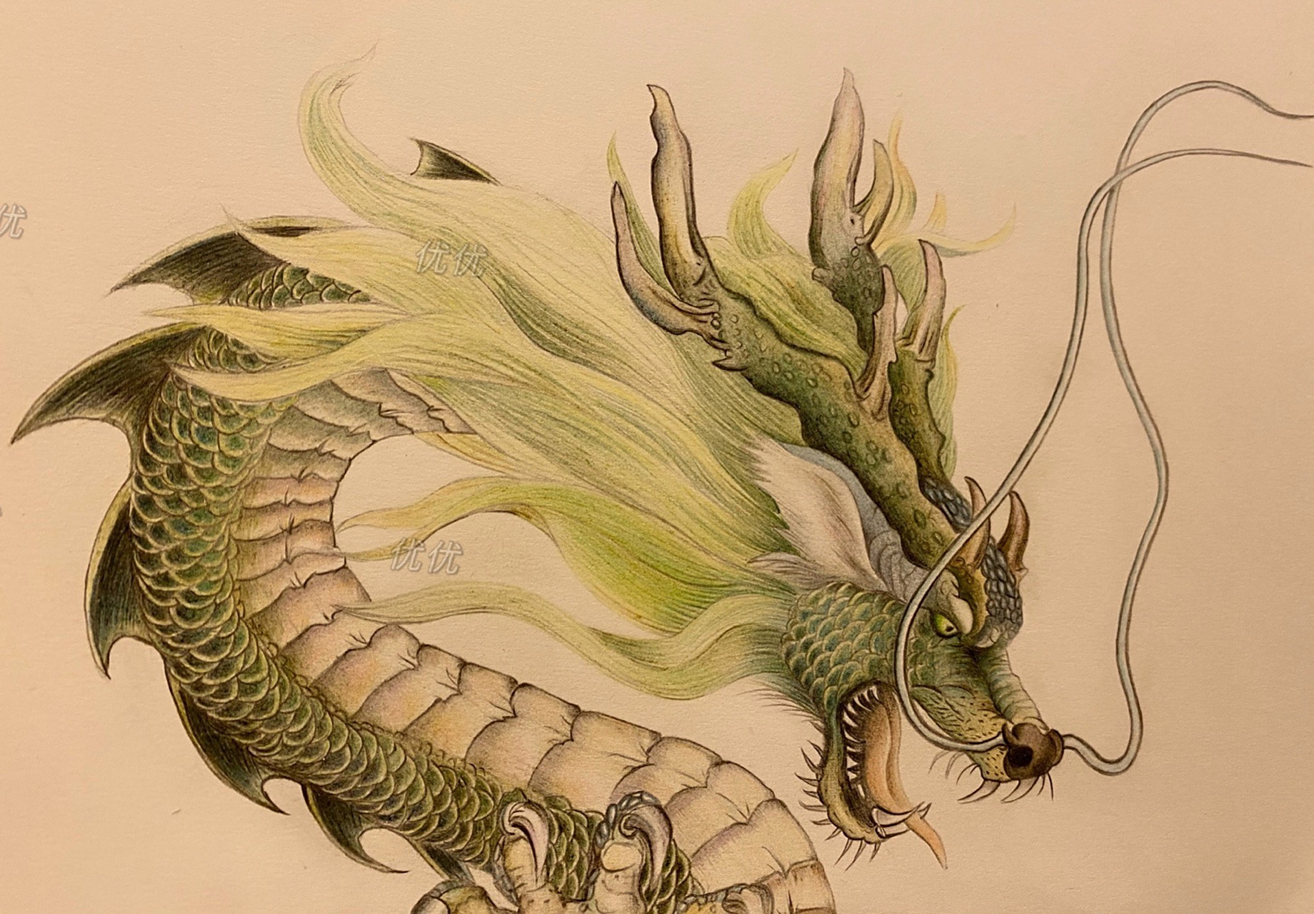 我的彩铅画~青龙~带步骤图 冷光和暖光你们更喜欢哪个?