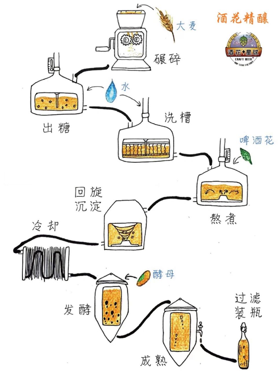 它是怎么来的嘛 一张图带你搞清楚 第一步 制麦工序 制麦的主要过程