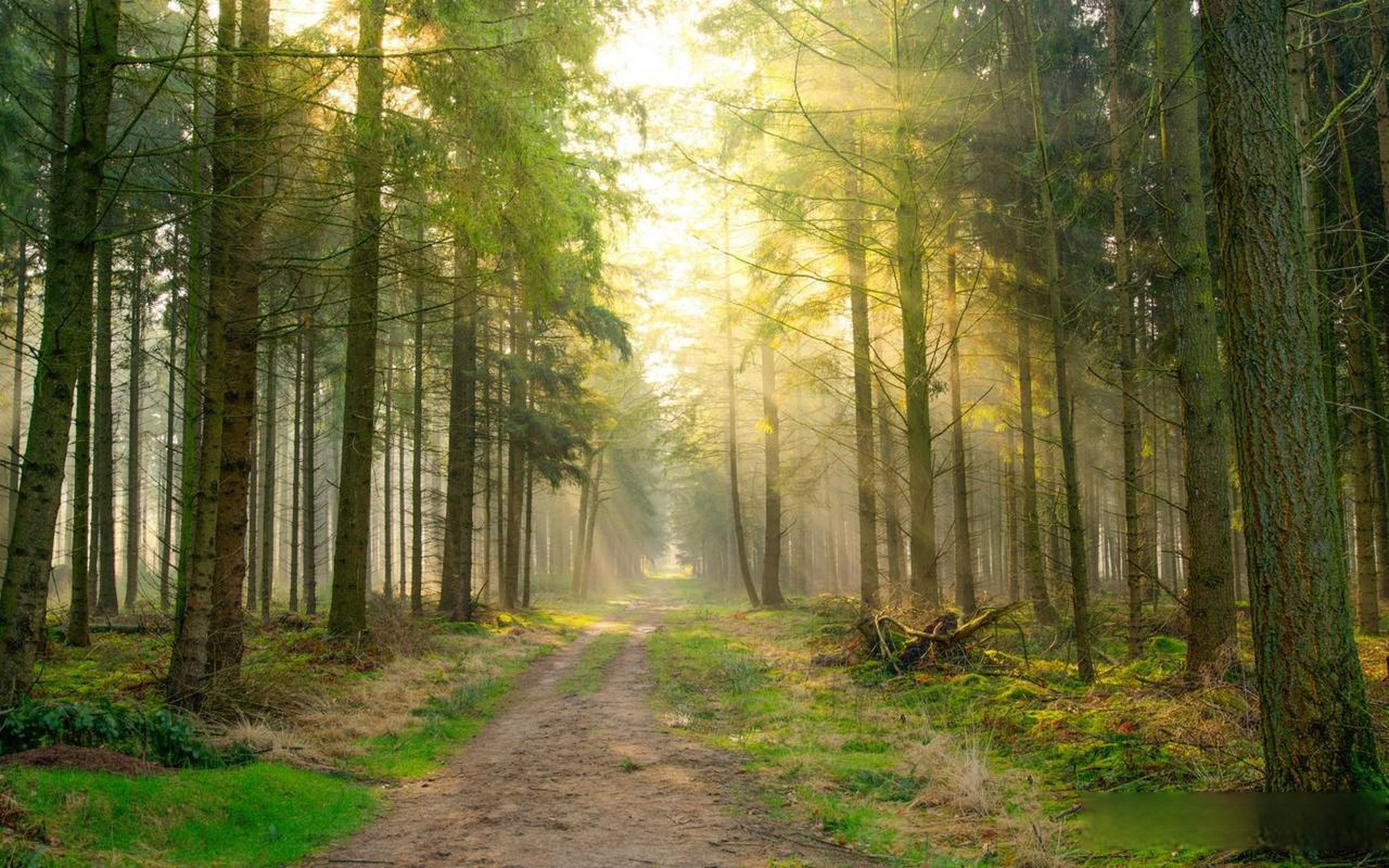 呼中自然保护区是我国最大的寒温带针叶林生态系统自然保护区,地理