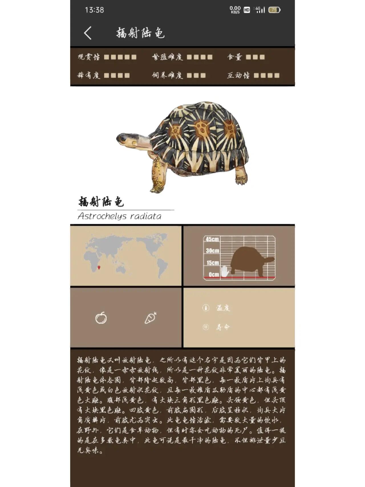 分享9种常见陆龟品种