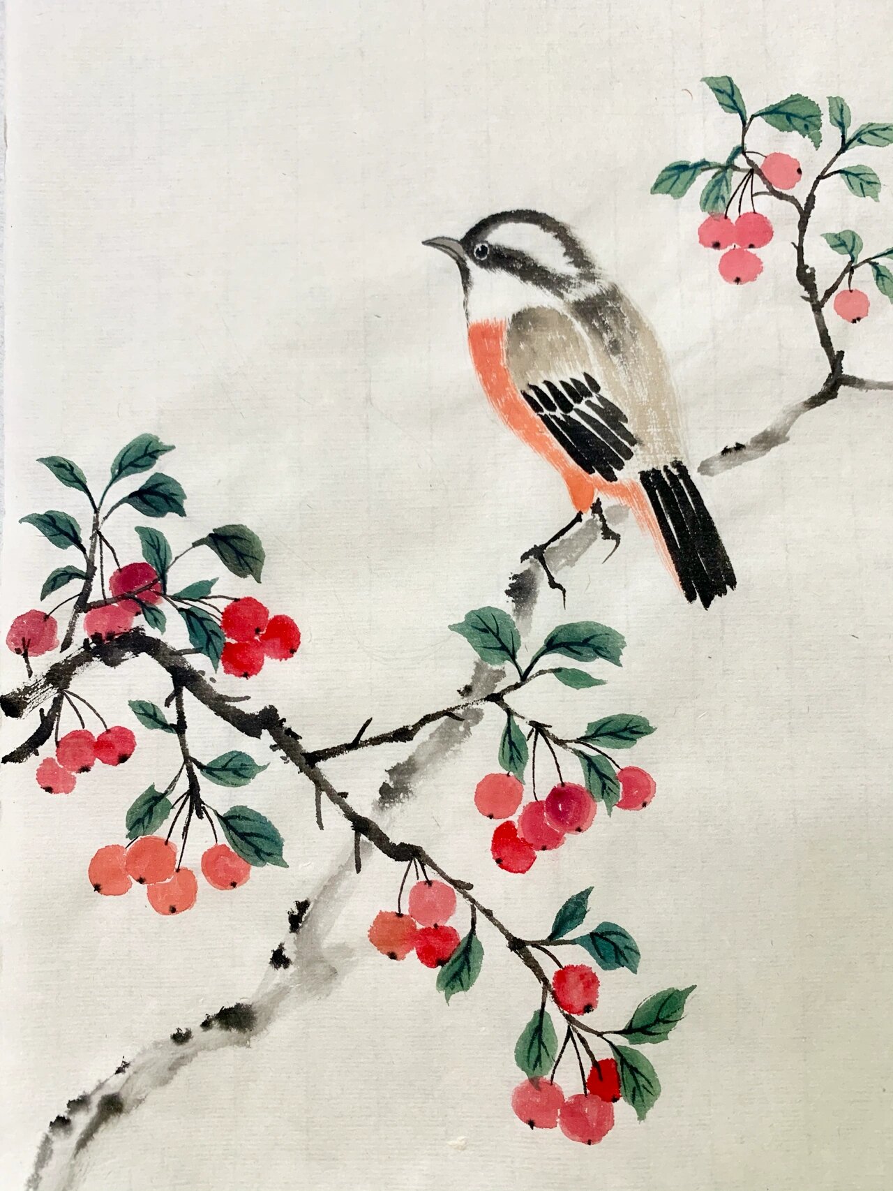 小写意国画 花鸟画