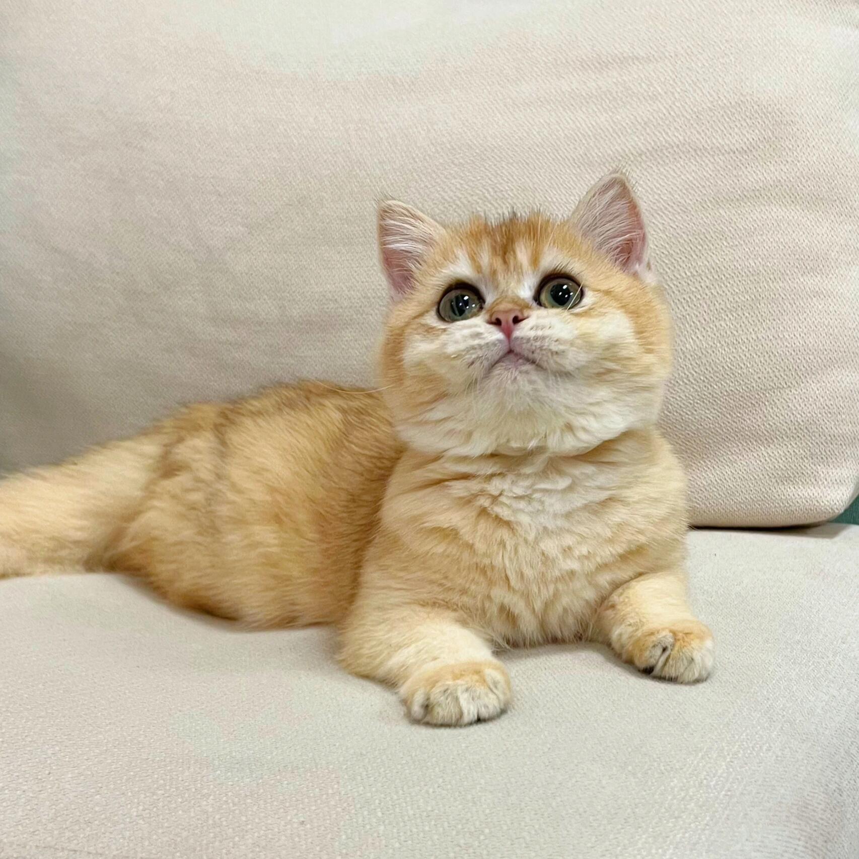 金年会-官方体育与电竞娱乐平台实时赛事直播与竞猜第3页-要闻-首页 新闻决定影响力 《每日经济新闻》报社旗下网站