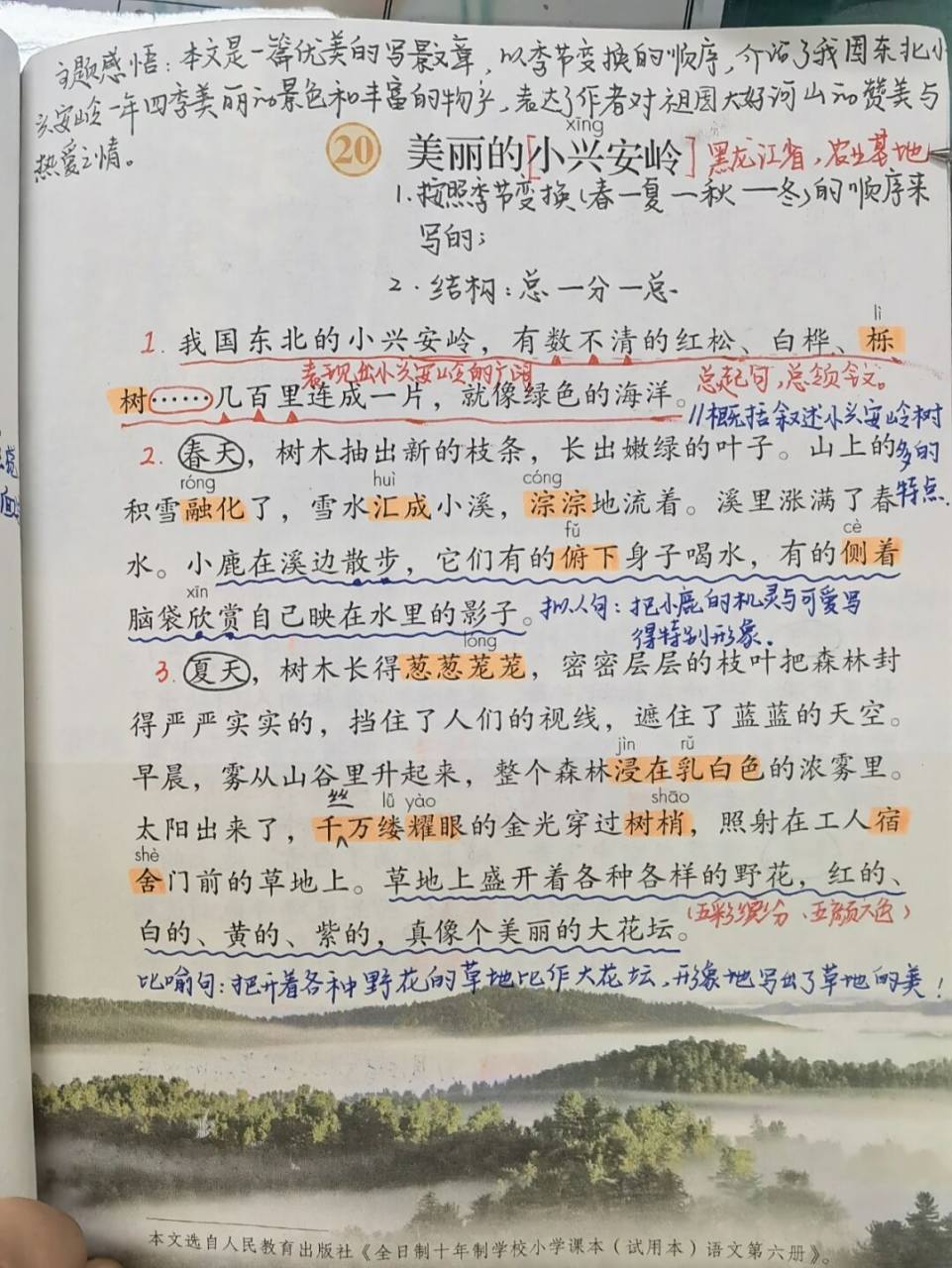 9200备课笔记《美丽的小兴安岭》