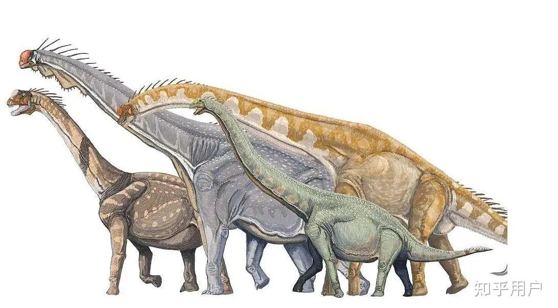 蜥脚类恐龙有哪些