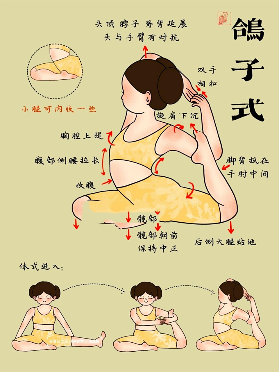 鸽子式和鸽王式|让你美出圈的体式9998 鸽子式也称侧鸽式 体式