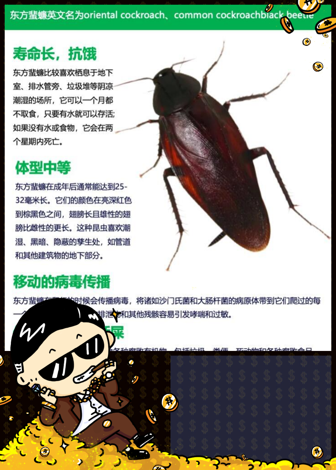探索蟑螂世界:东方蜚蠊的奇特饮食