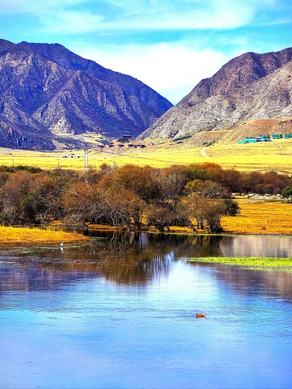 桑科草原和湿地,位于甘肃省甘南藏族自治州夏河境内,距夏河县城拉卜楞