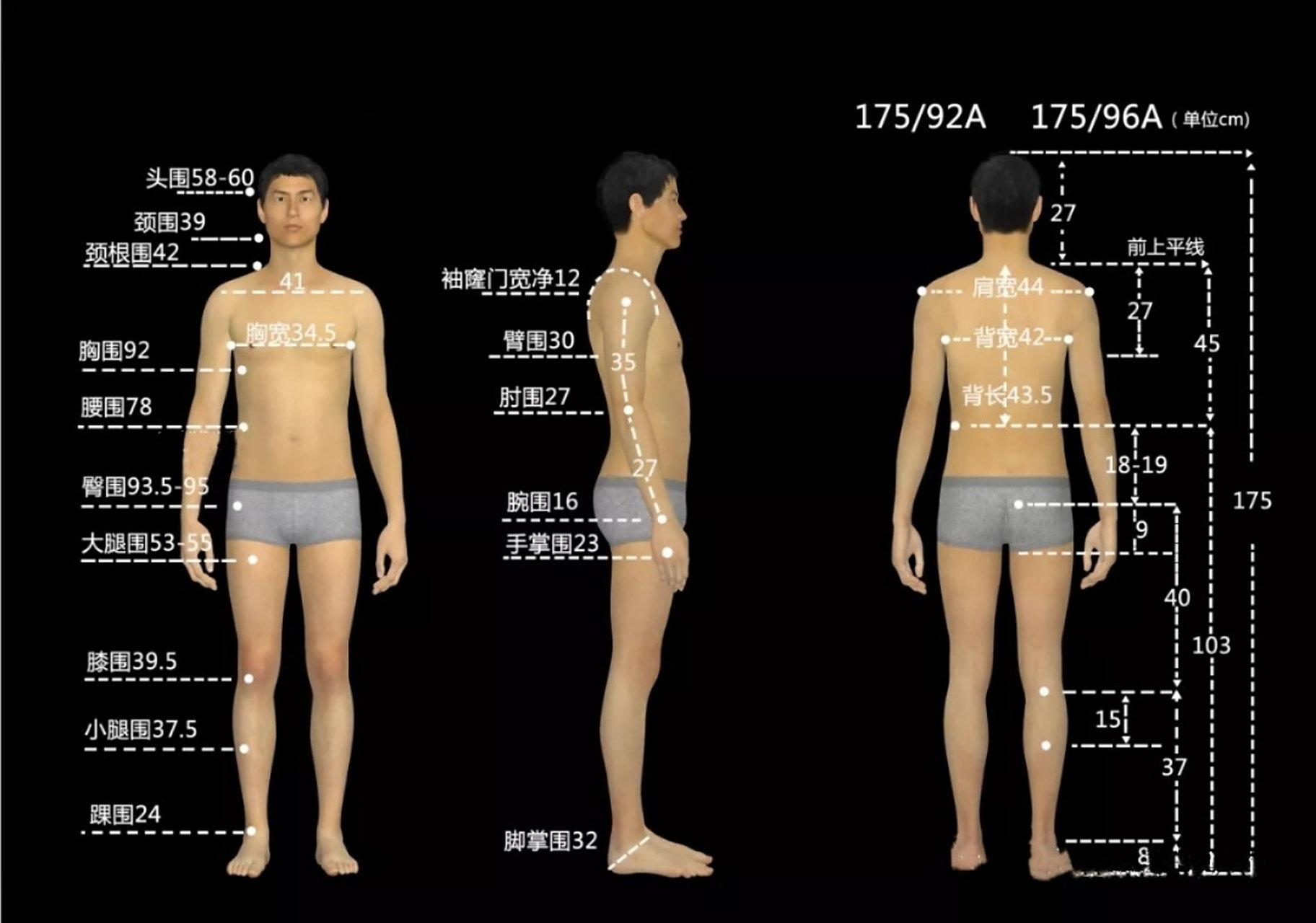 想要打好服装纸样,先掌握好人体各个部位的净体尺寸,再在净体尺珑