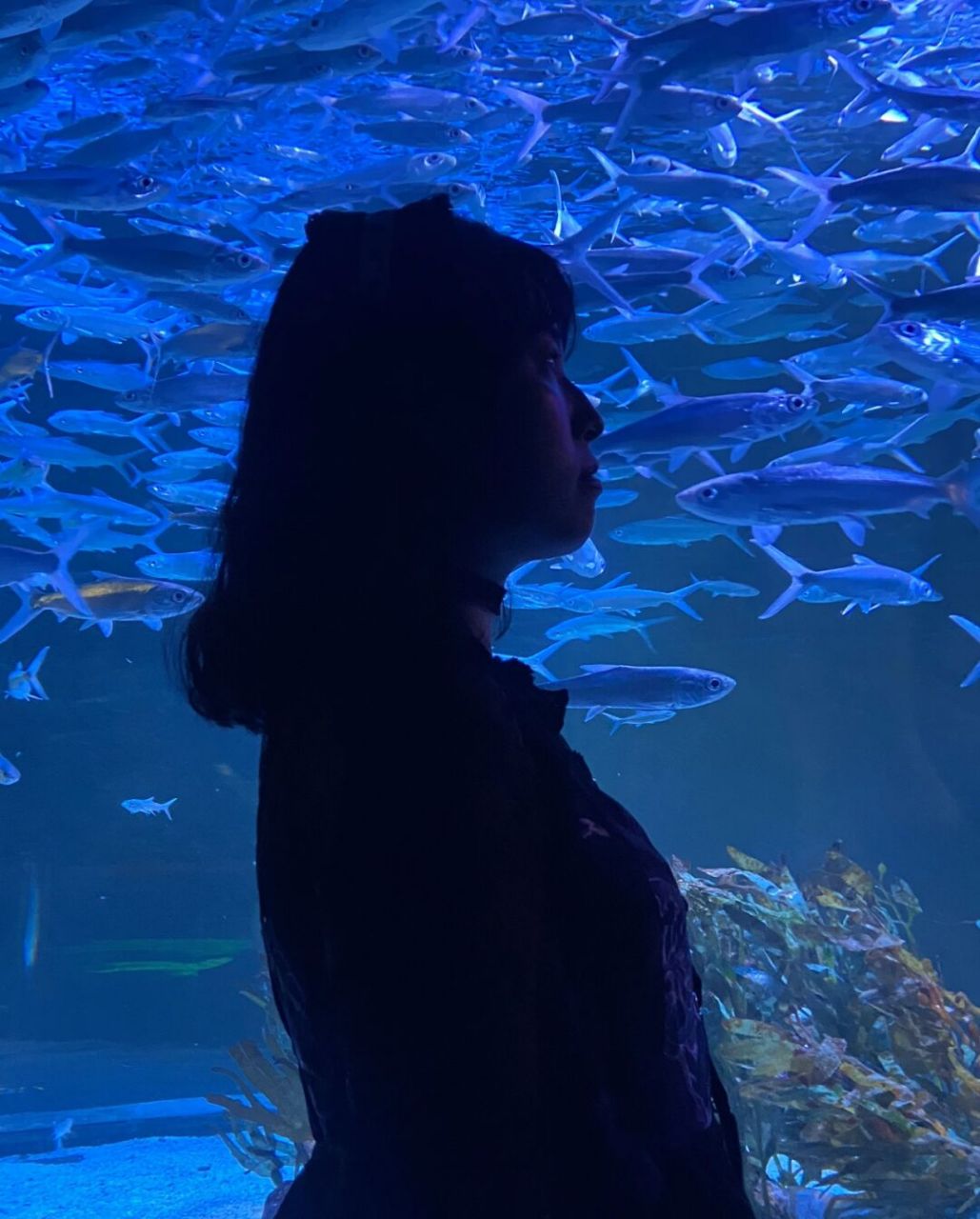 眉眼也很奇怪呀!我的驼峰鼻好丑!侧脸不管怎么看都怪怪的.