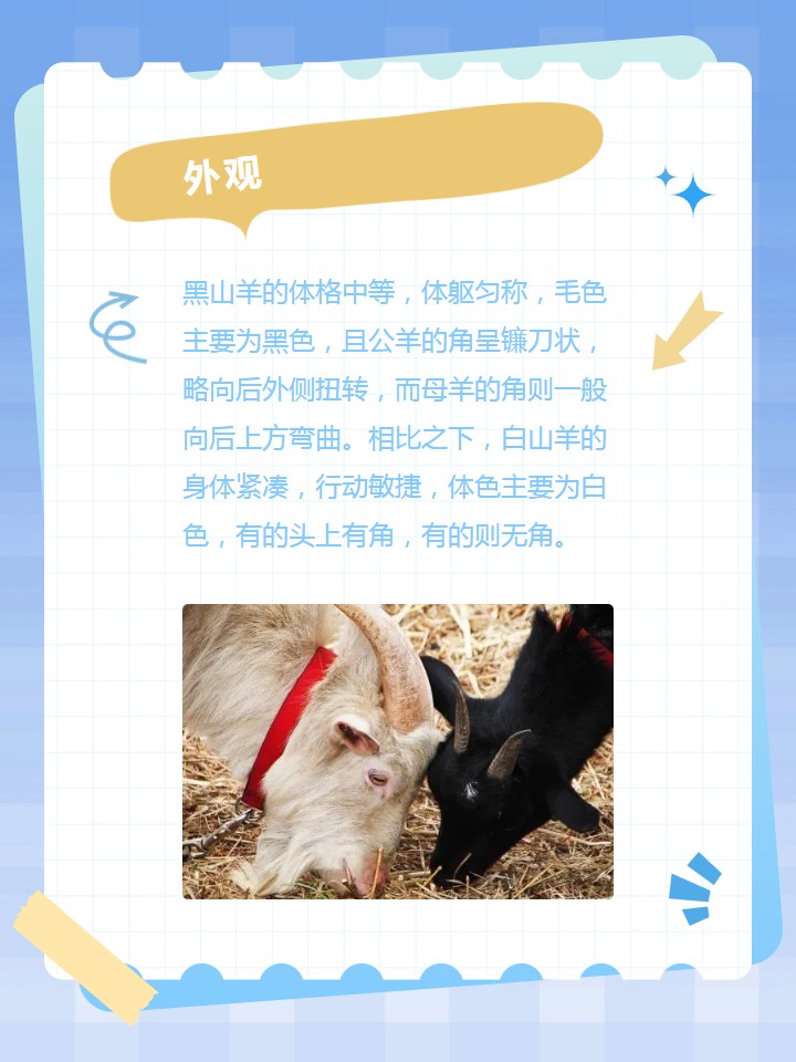 黑山羊与白山羊有什么区别呢.@宁儿好物探索的动态