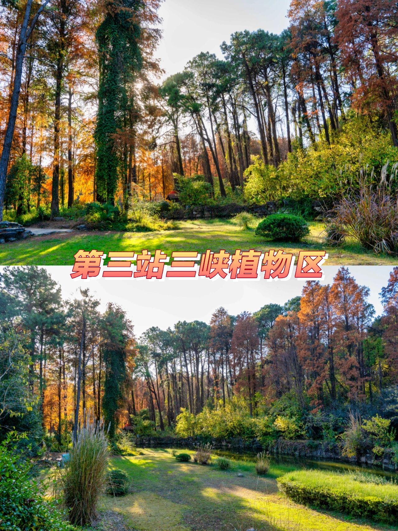 东湖边的武汉植物园百看不厌 我来武汉东湖植物园很多趟了,每一次都会
