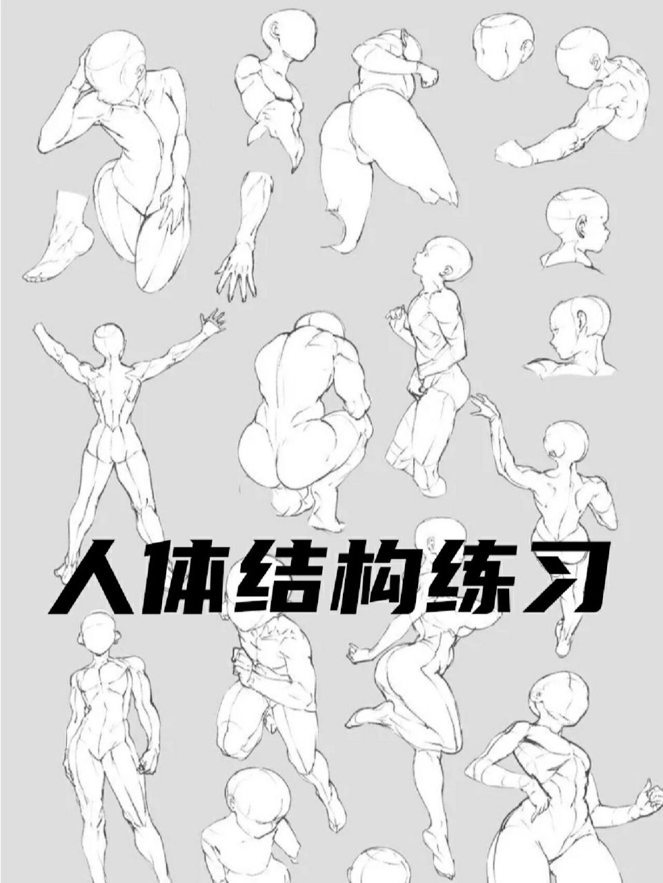 【人体结构练习】画画打卡|自学手绘人物⑤  零基础应该怎么练人体
