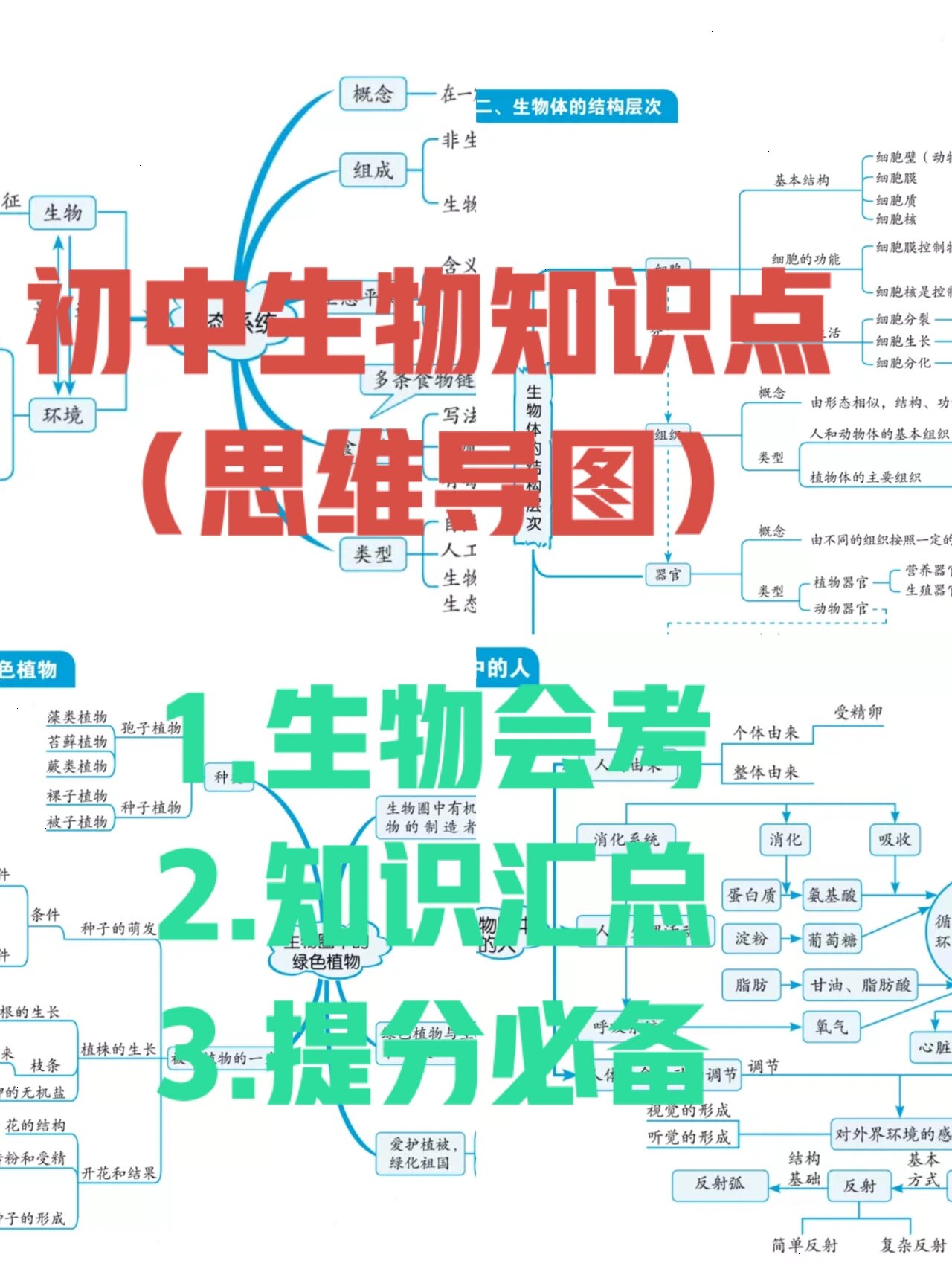 初中生物概念图17个图片