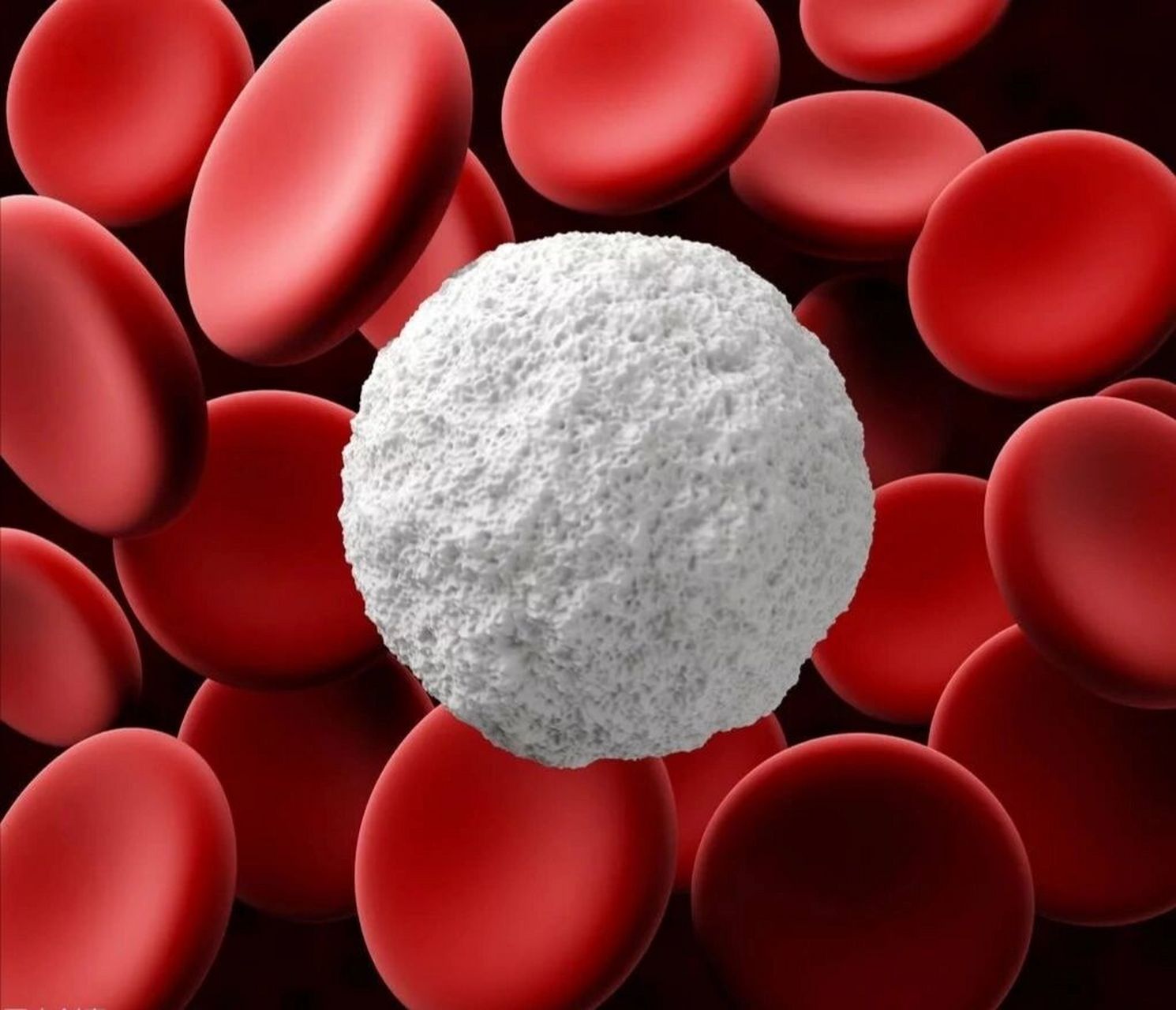 中医解读白细胞的作用 白细胞,血小板,红细胞来源不尽相同,其作用各异