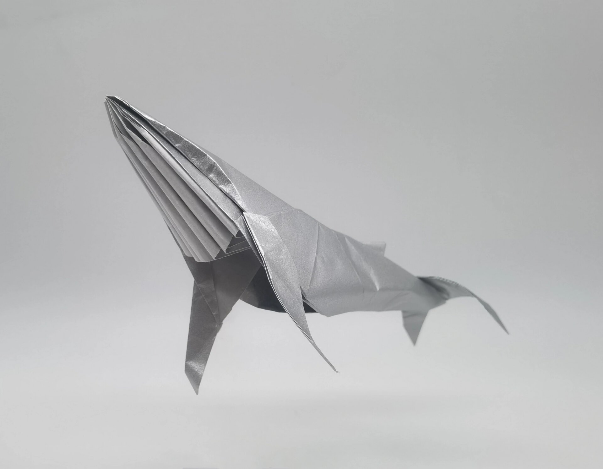 一张纸折条座头鲸