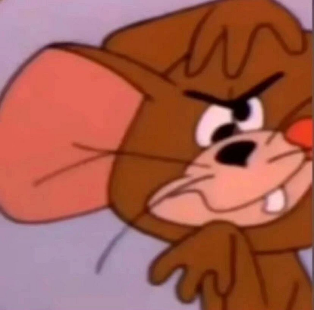 有点不太聪明但是想问卡带可以每天插拔吗 先买的机子再买的卡带,卡带