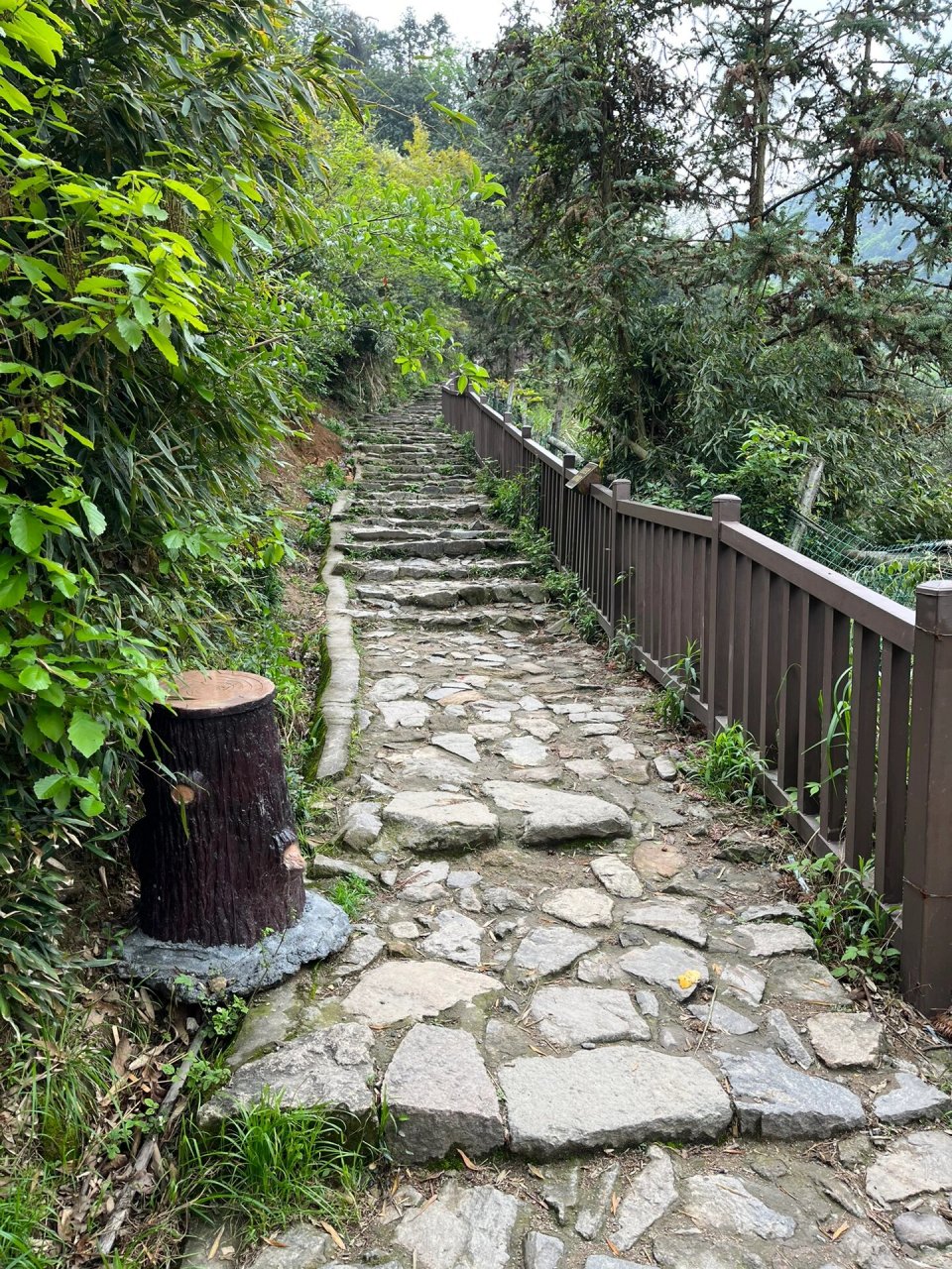 栲栳山 导航到栲栳古道停车场,中午12点到达时还有些车位.