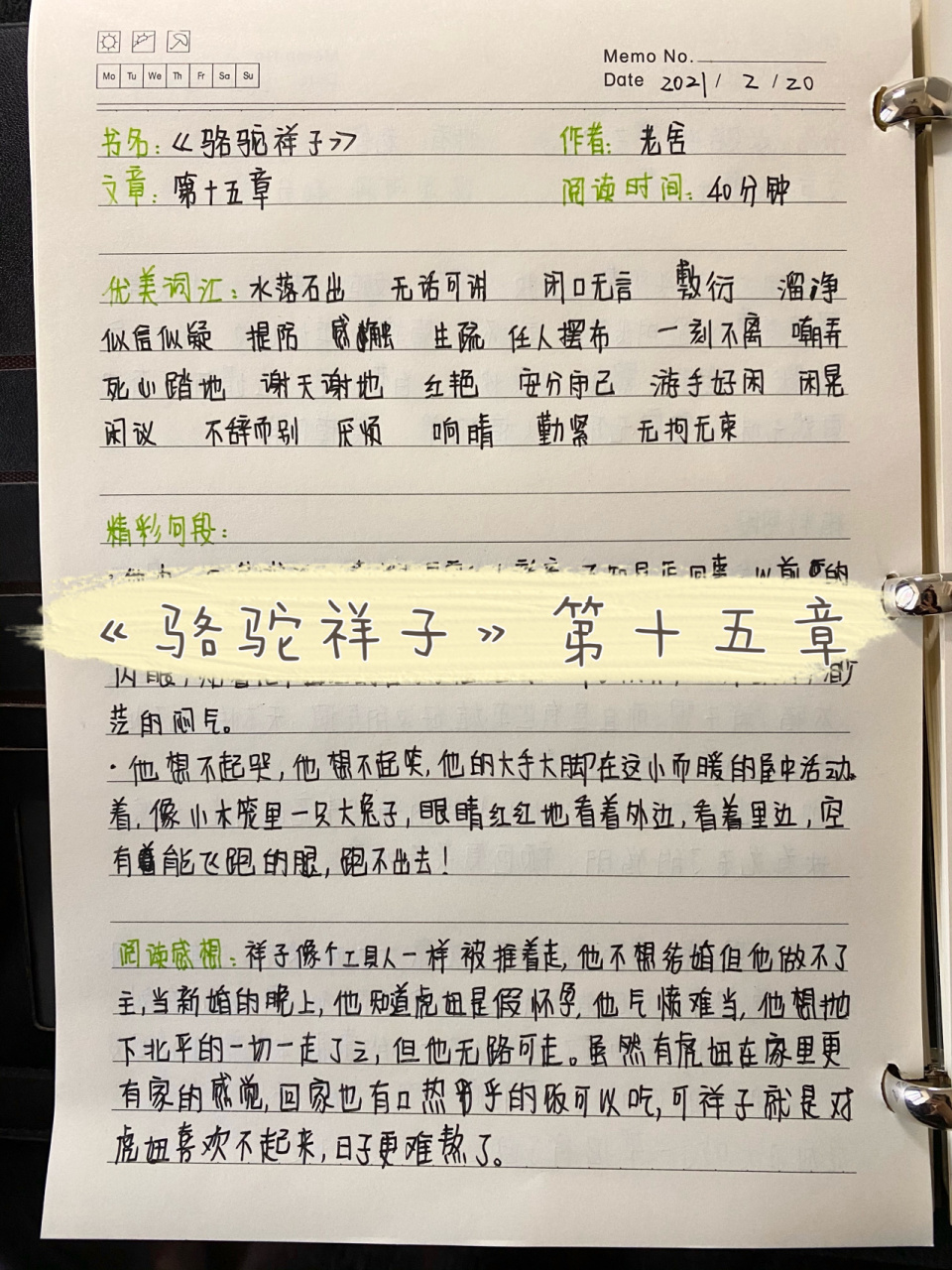 《骆驼祥子》读书笔记第十五章 看似不起眼的日复一日,会在将来的某