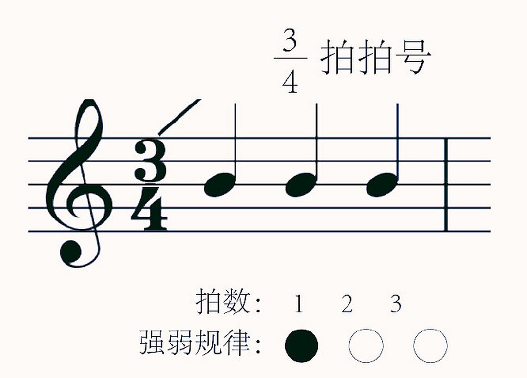 相同时值的强拍和弱拍有规律地循环出现,称为节拍.