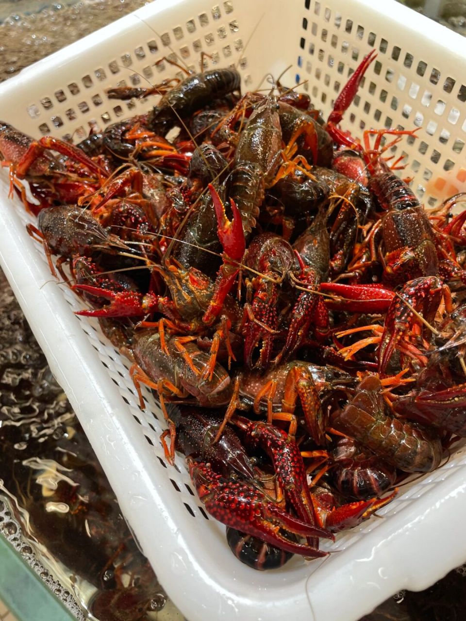 2米大锅安排7515石家庄端午假期有龙虾节 hi.