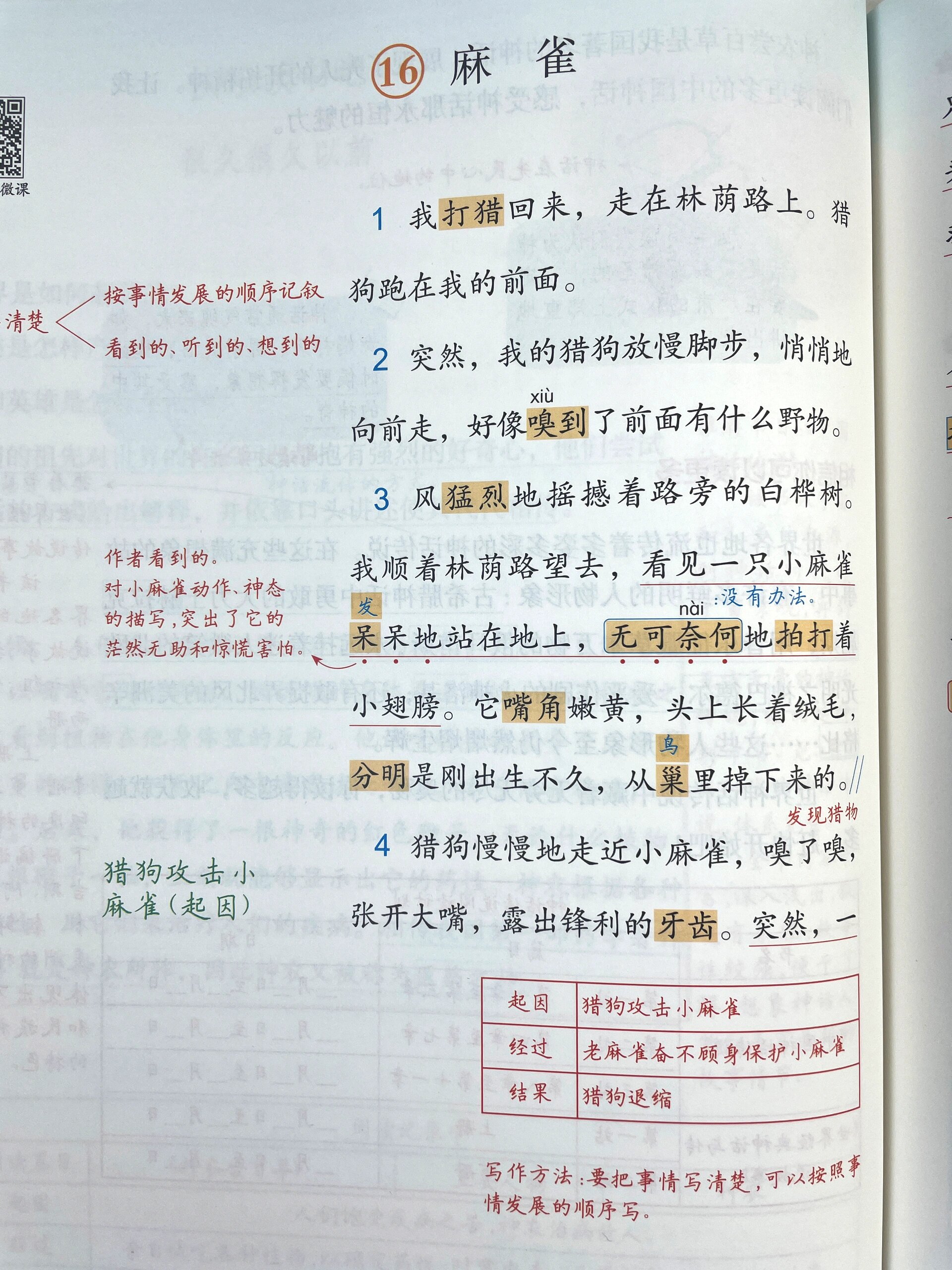 麻雀课堂笔记图片