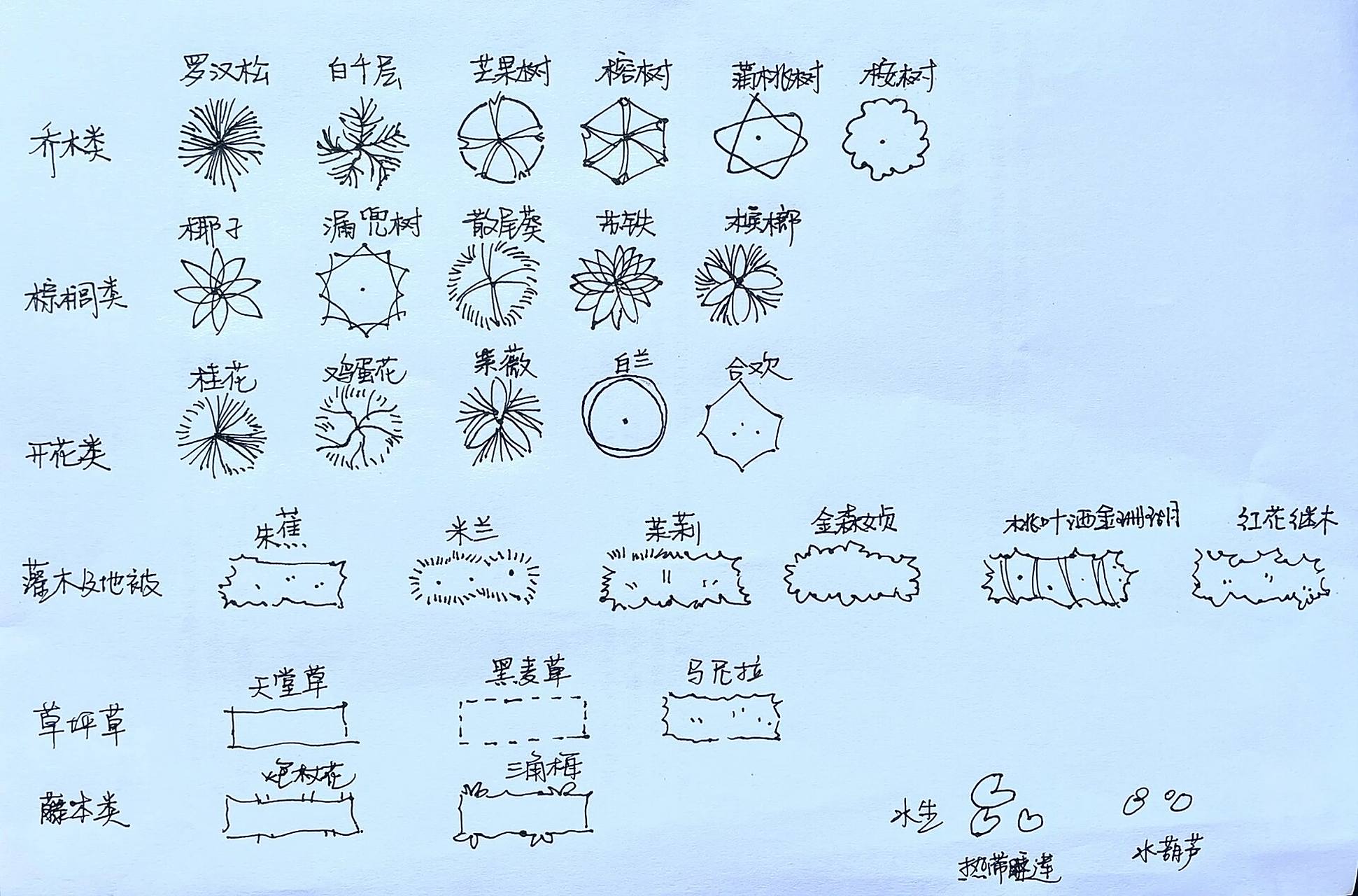 29种景观平面南方常用植物配置图