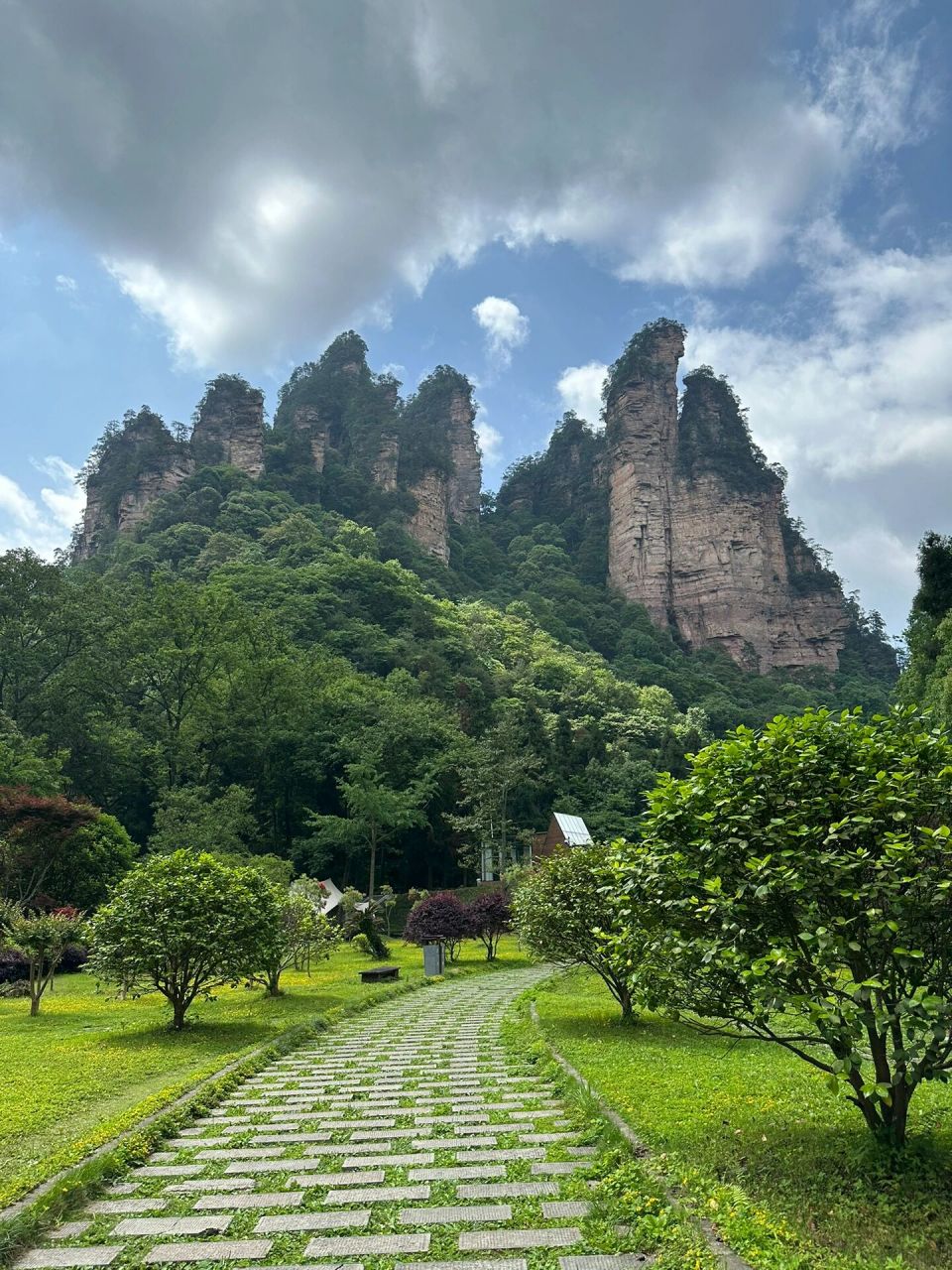 张家界黄石寨金鞭溪旅游攻略 从森林公园南门进去后  先到大氧吧广场