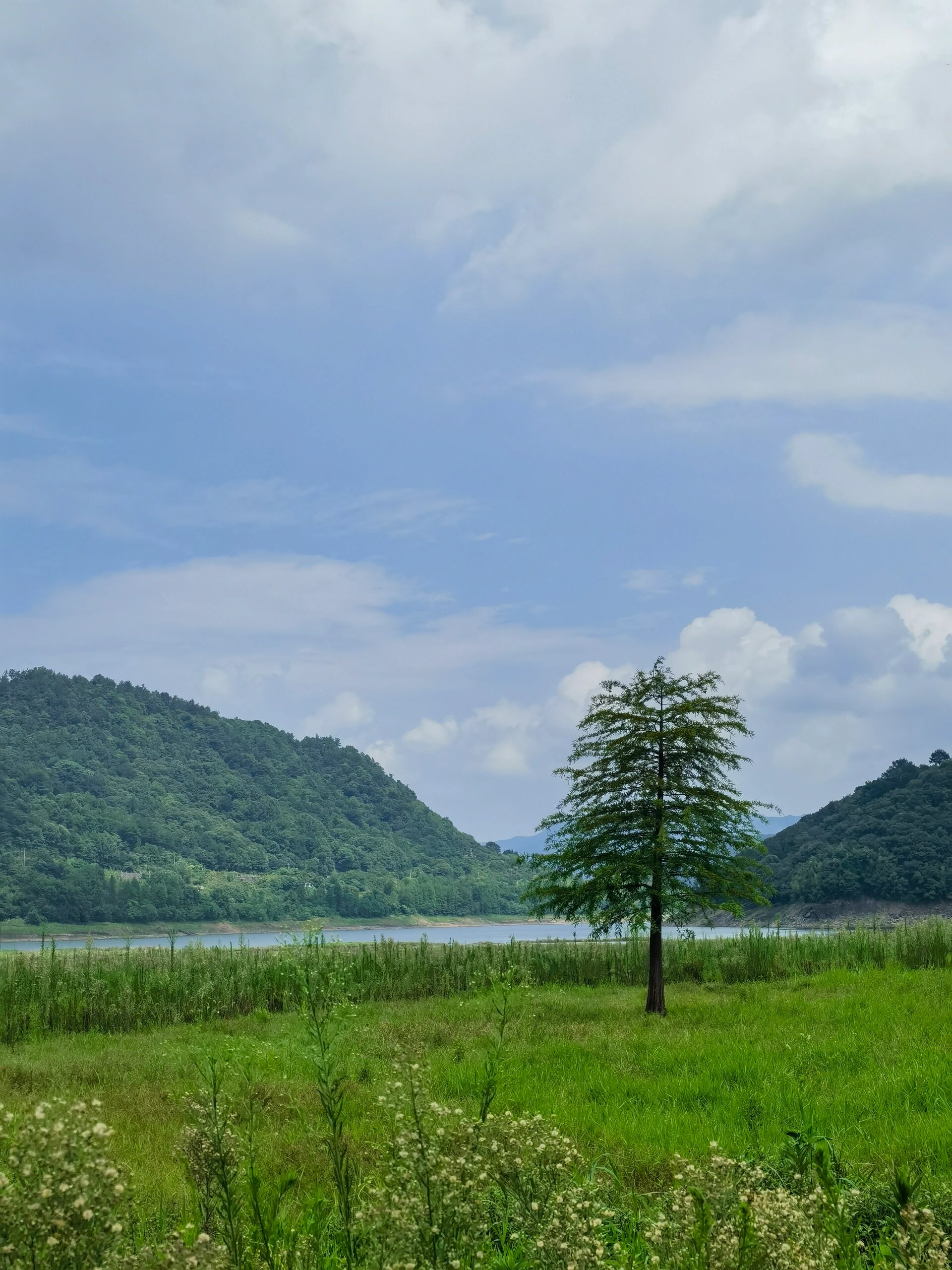 奉化亭下湖风景区图片