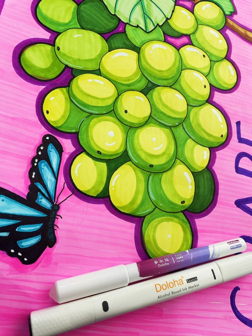 今日分享马克笔线描葡萄,绿色的提子 晴王葡萄,马克笔水果,线描水果