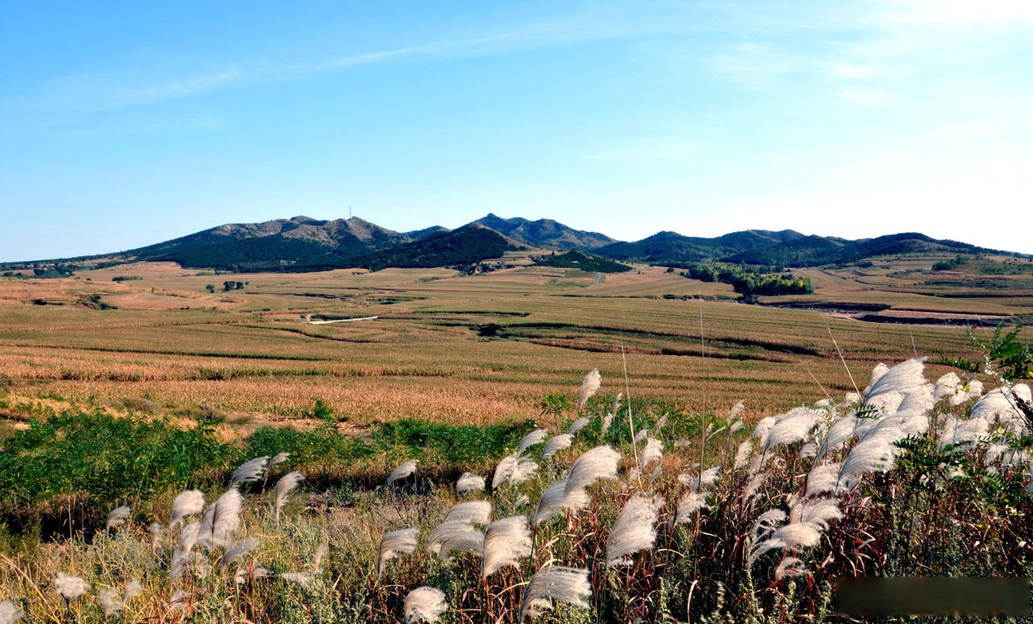 【沈阳最高峰——巴尔虎山】#发现沈阳之美##一路向北有多美##美丽