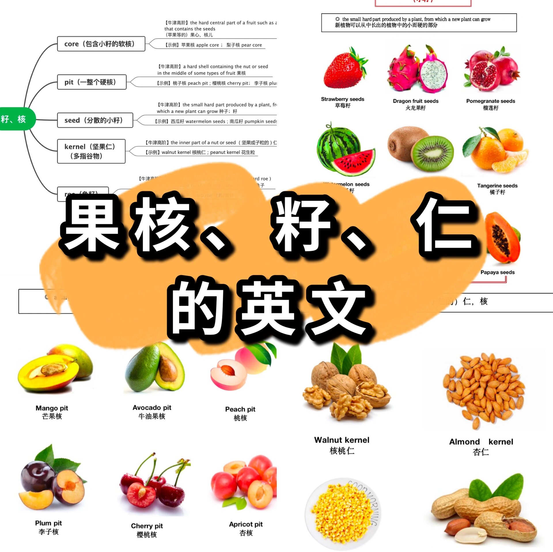 核果类水果ppt