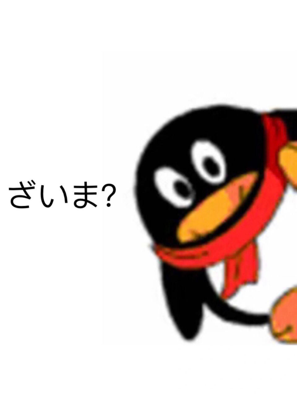 qq企鹅专场93 这次自制了一些q宠表情,老规矩,大家可以截图自取喔