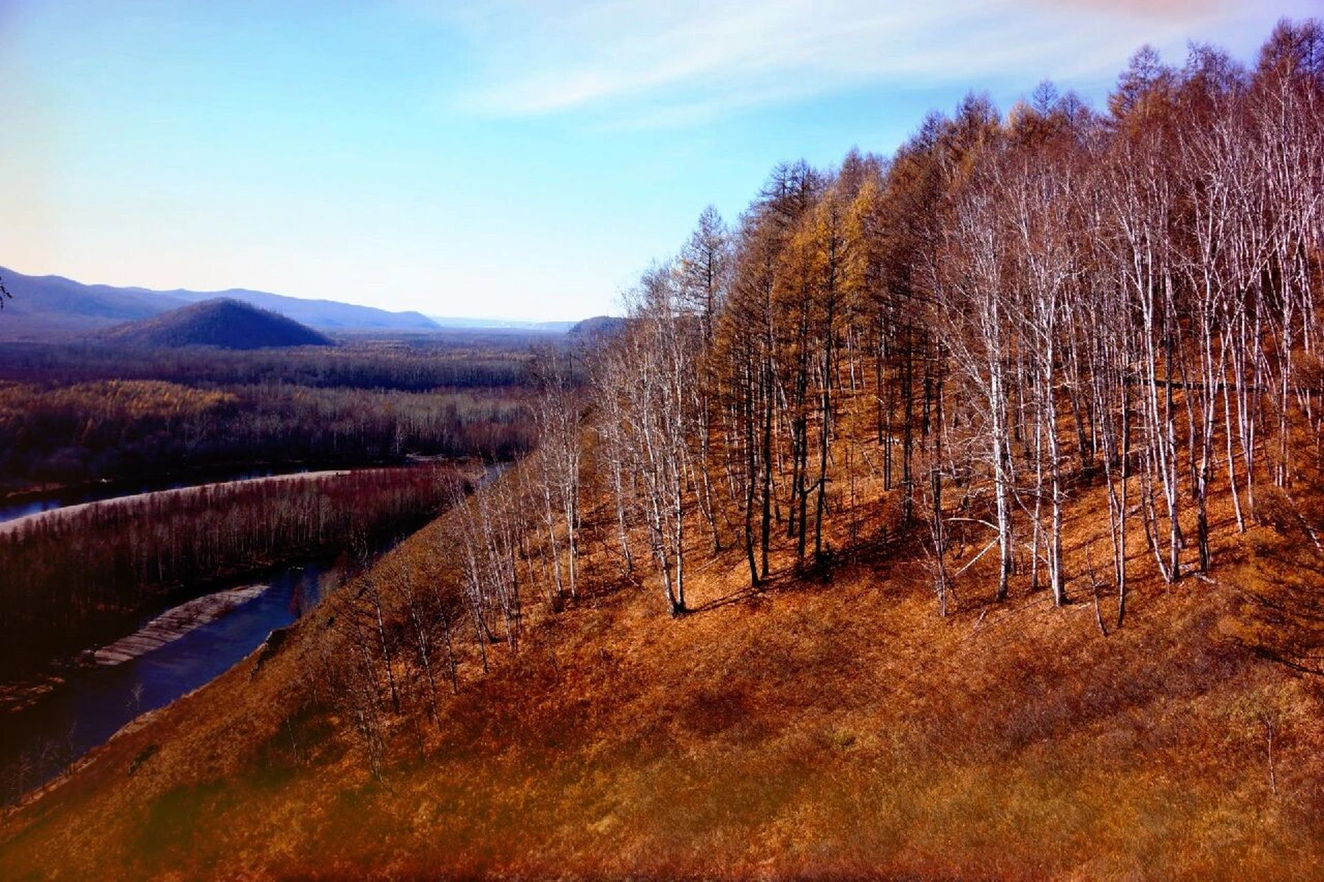 摄于呼伦贝尔根河市.#小众景点# #最美秋色