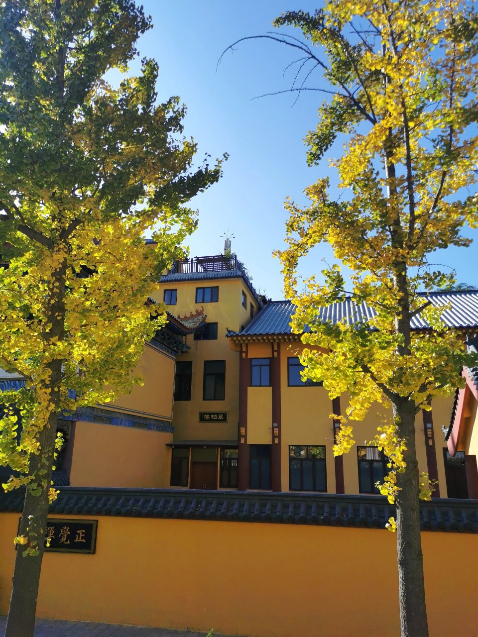 博山正觉寺攻略-淄博有名的寺庙 正觉寺位于淄博市博山区张博公路安上