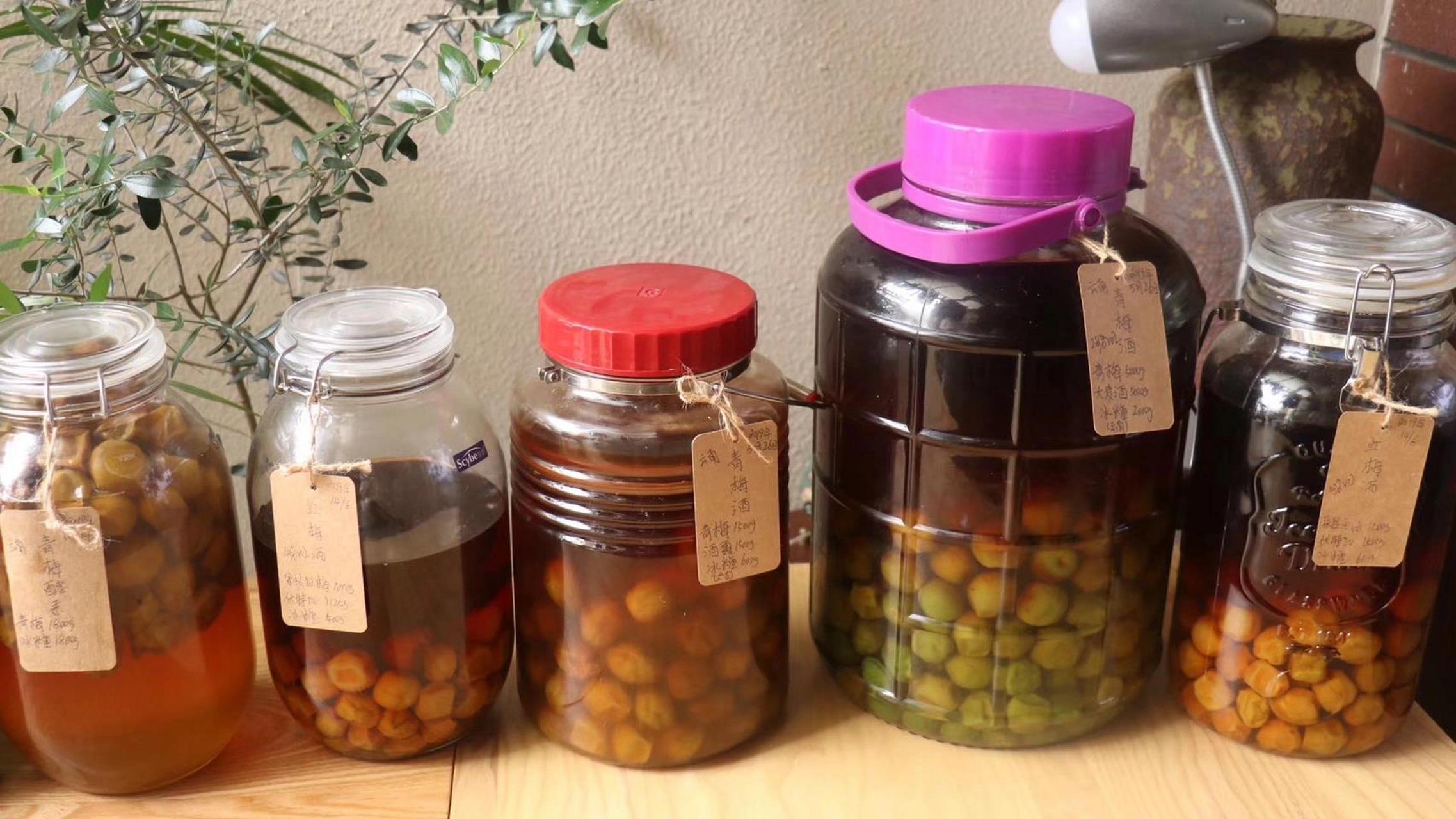 了8年梅子酒,用了20多款基酒总结出的经 从2014年开始第一次泡梅子酒