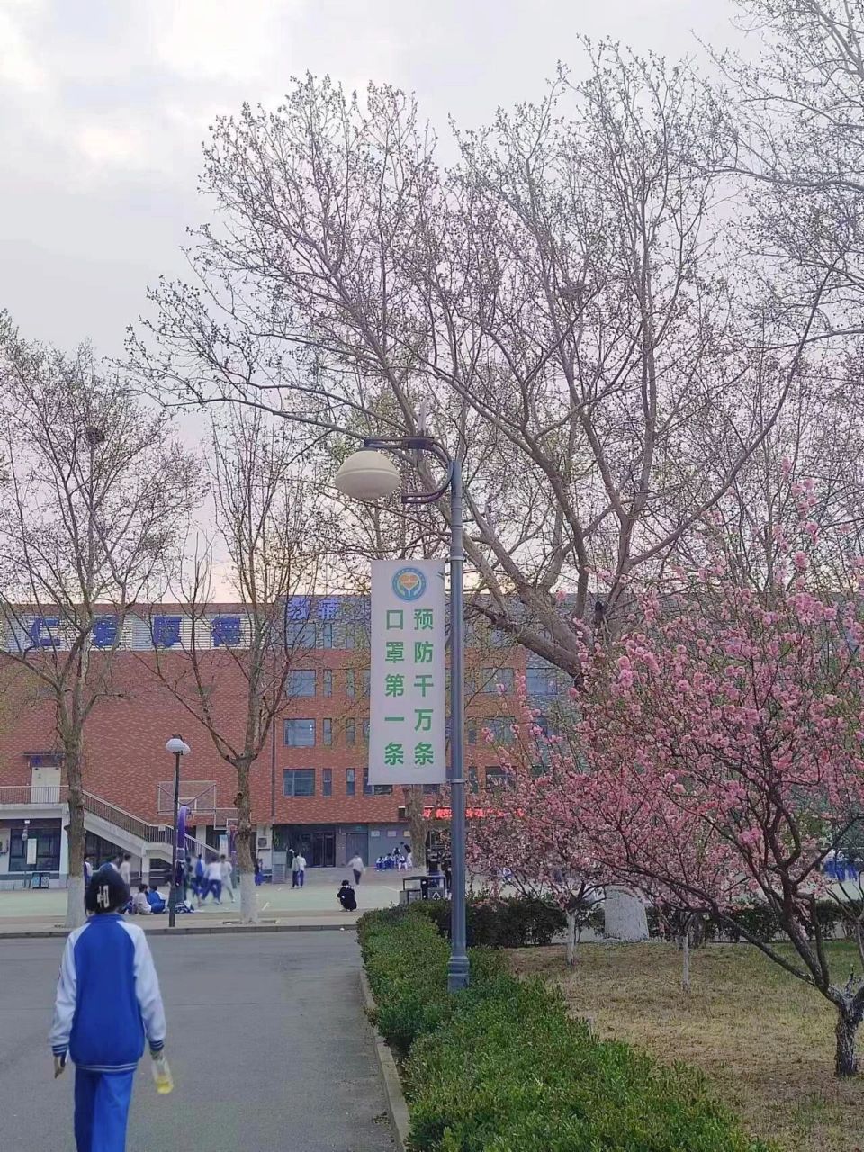 北京市海淀区卫生学校图片