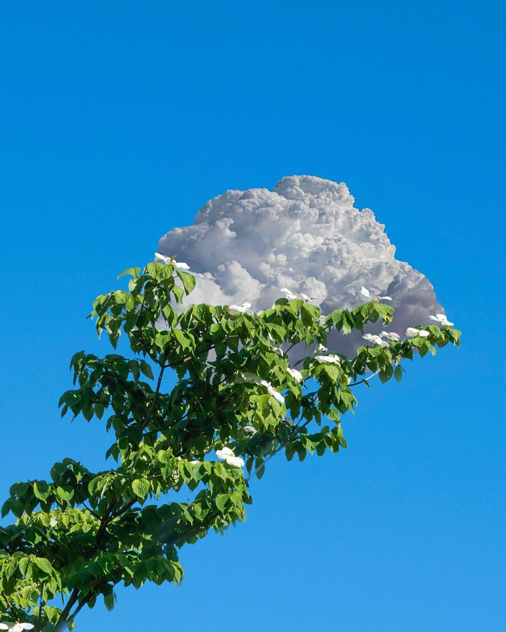 天空7815云朵 头像/背景图分享 万尺高空蓝天白云是我的生活, 和