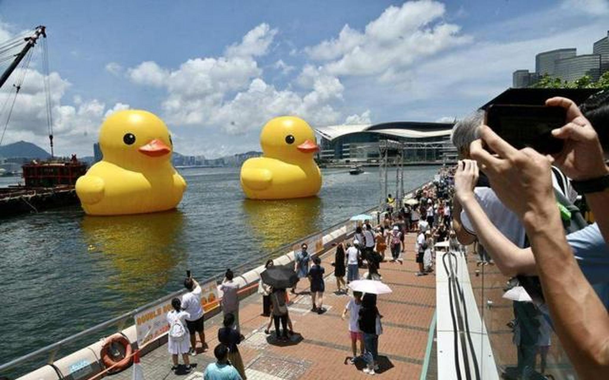 【漏氣黃鴨充氣後重現香港維多利亞港】兩隻巨型橡皮黃鴨上星期六(6月