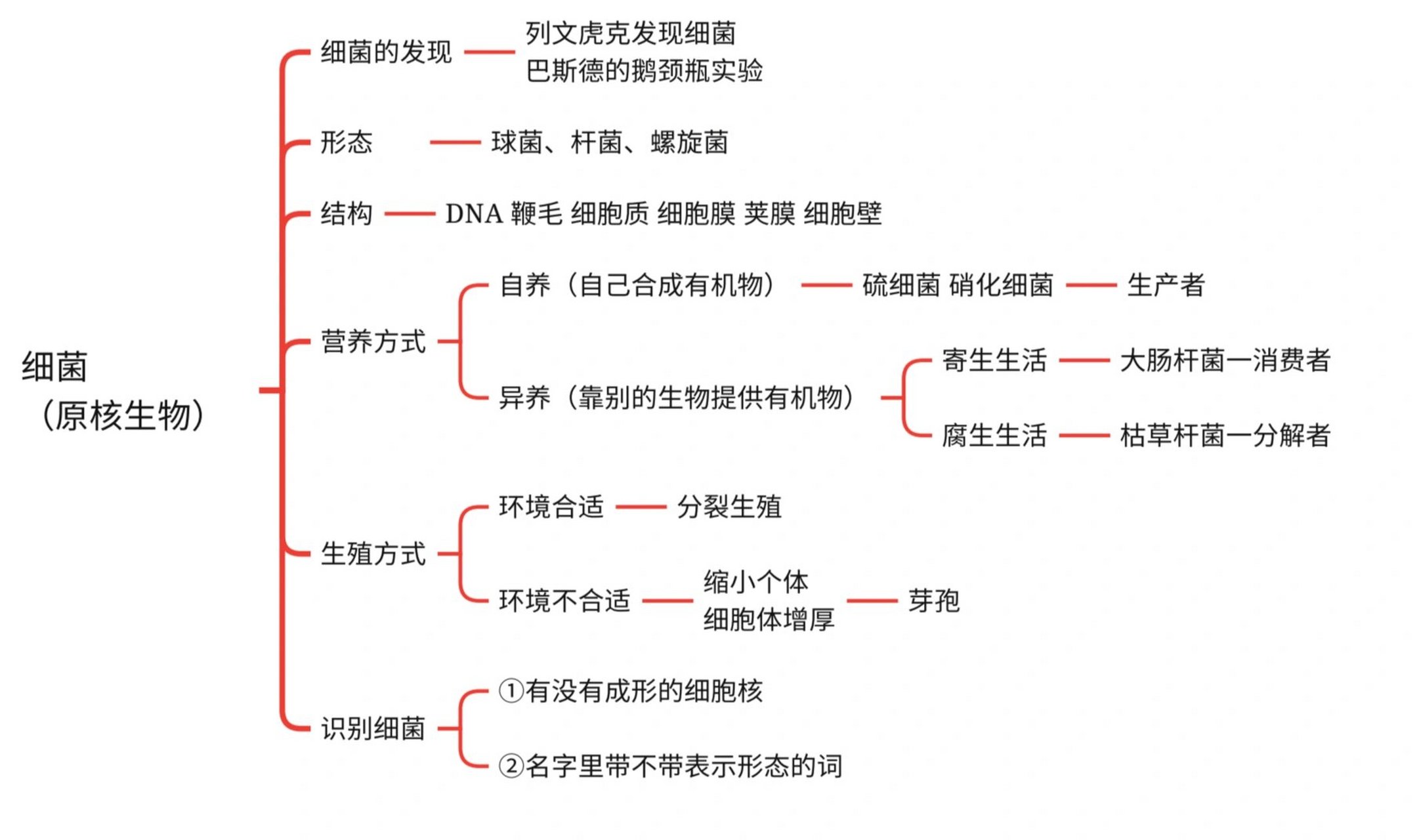 微生物的分类思维导图图片