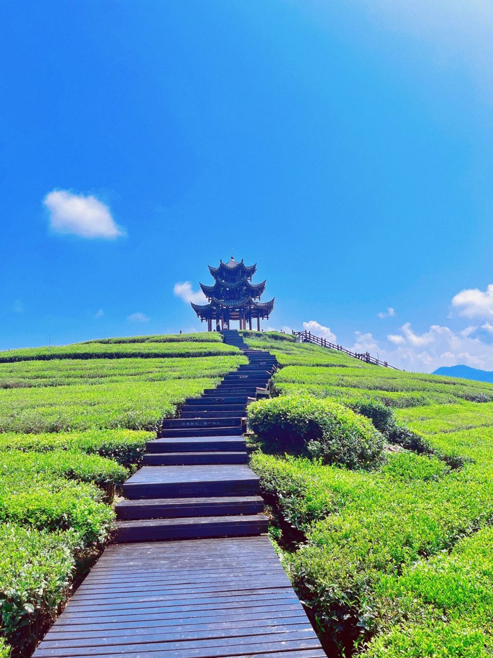 恩施旅游伍家台篇 害,要上班了,不想写那么详细了 伍家台就是个茶园