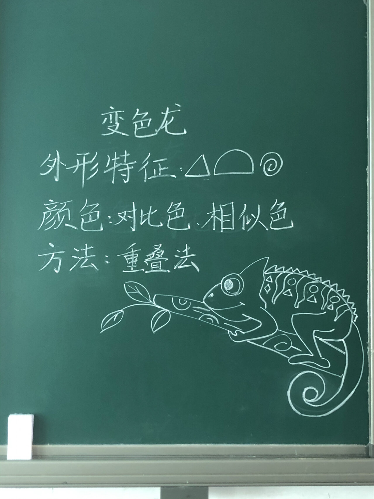 一年级《变色龙》课堂板书 简单的粉笔画示范
