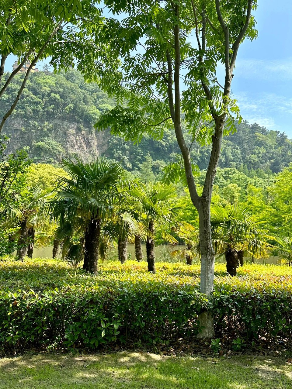狼山,江苏南通 江海第一山,山高109米的狼山 自然风光人文景观交相