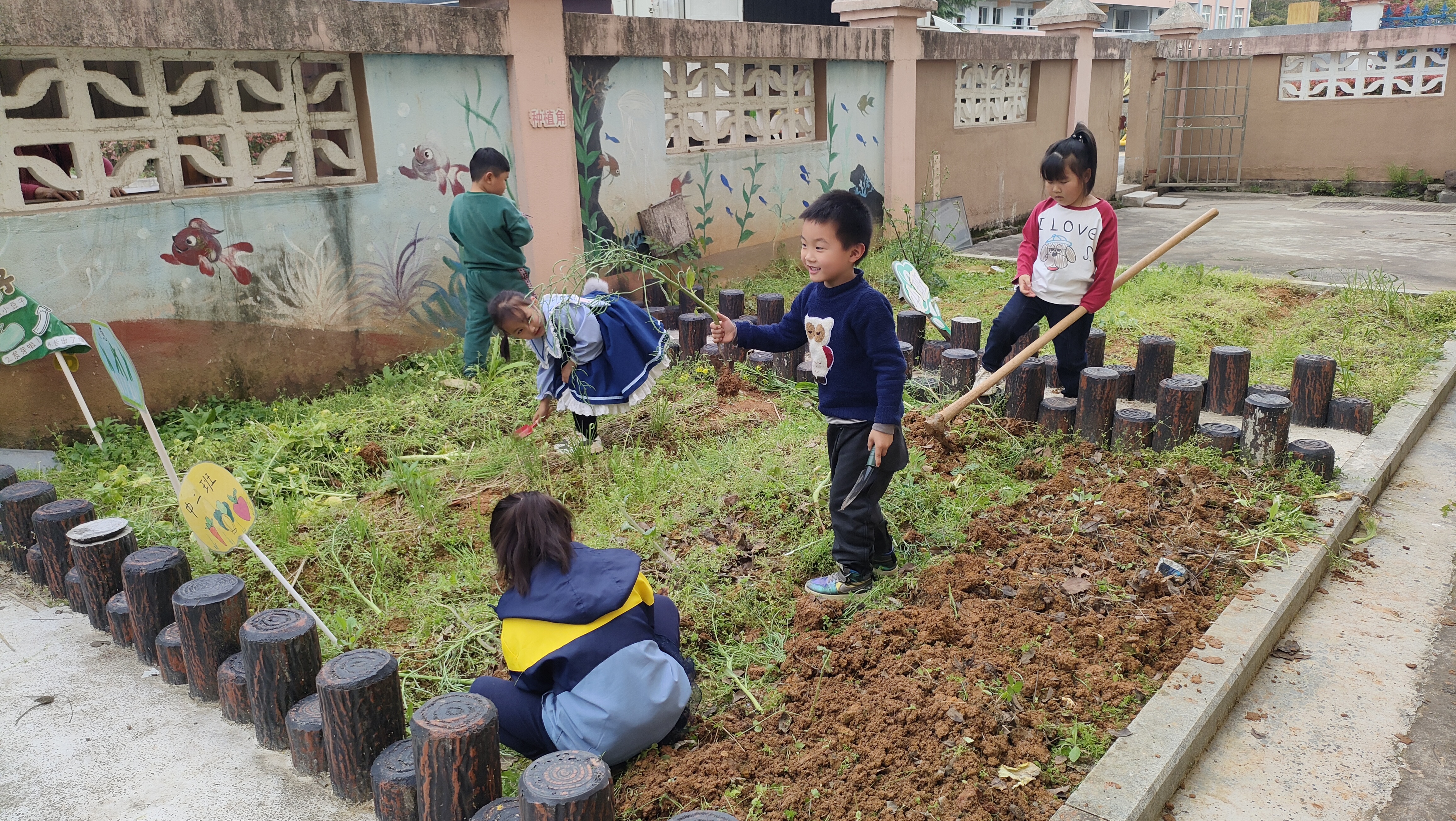 孩子们手拿锄头,挥洒汗水,将种植园土地翻