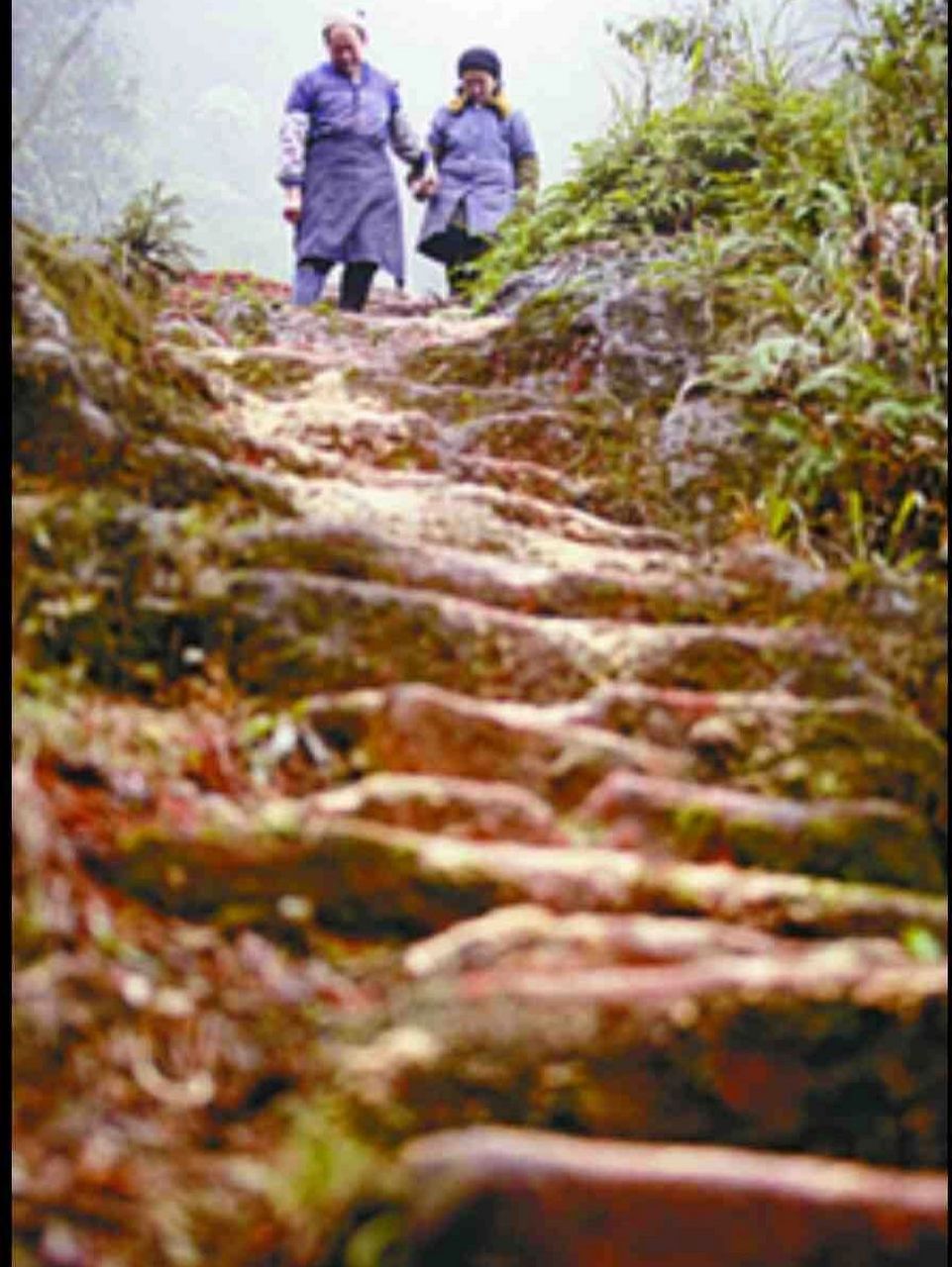 爱情天梯,这是一个曾经轰动全国的故事 爱情天梯是一个非常轰动的事情