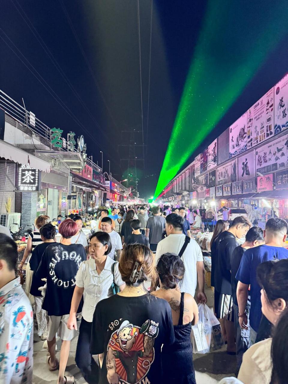 这是天津最大的花鸟鱼虫夜市! 一周仅一次,星期三营业!