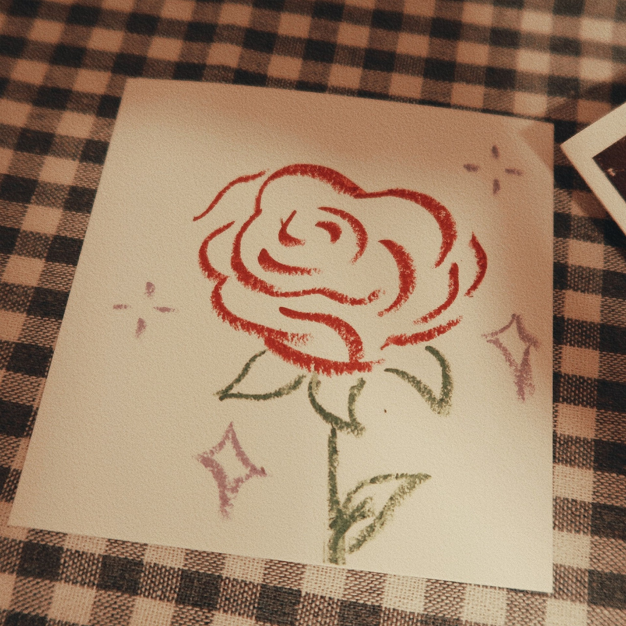 ins风简笔画|玫瑰花 简单的线条 越简单越好看 配色舒服是我的风格