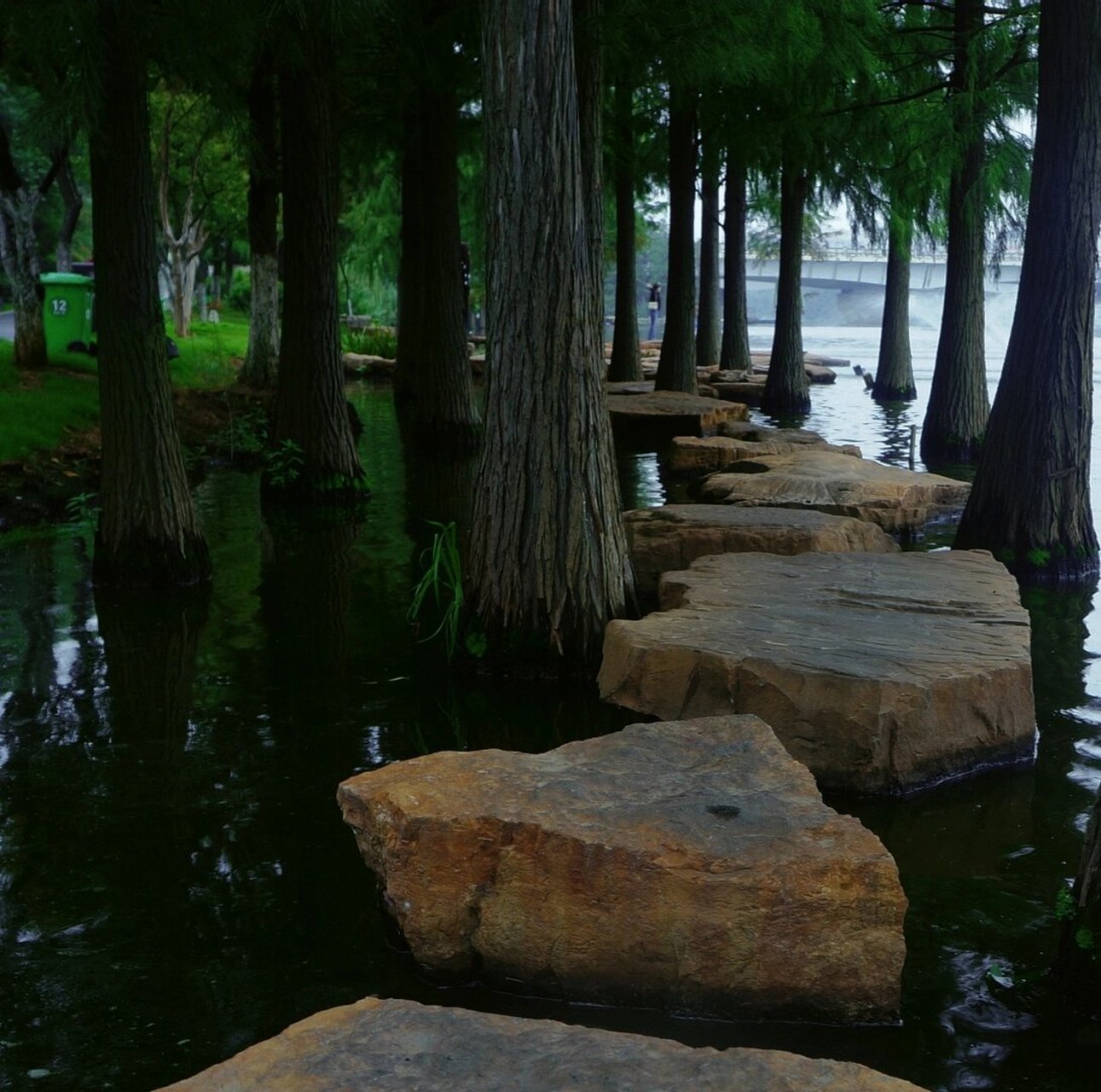 岳阳王家河简介图片